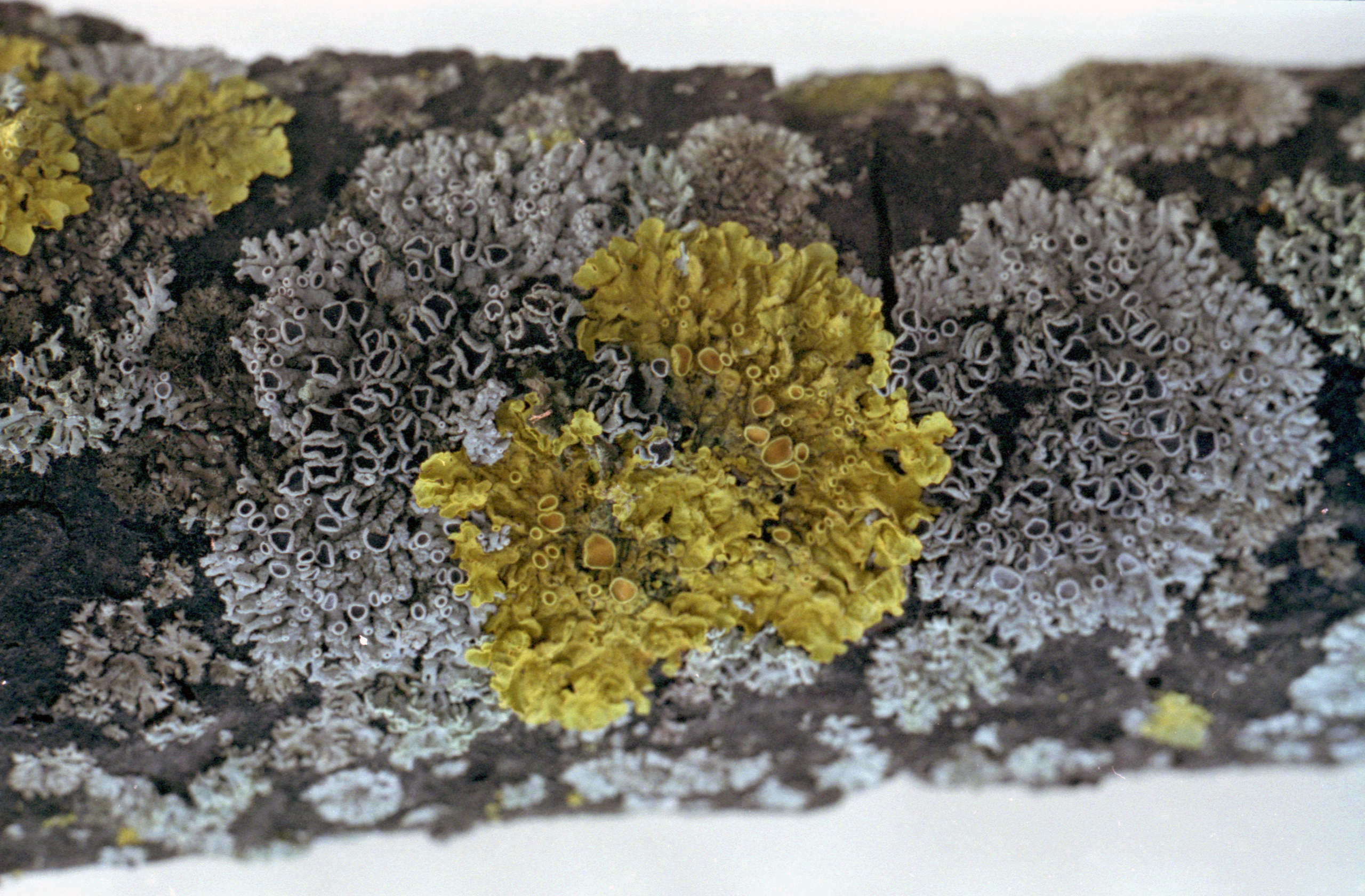 Выставка ''Черный ящик'' с 16 марта по 16 апреля 2021 года