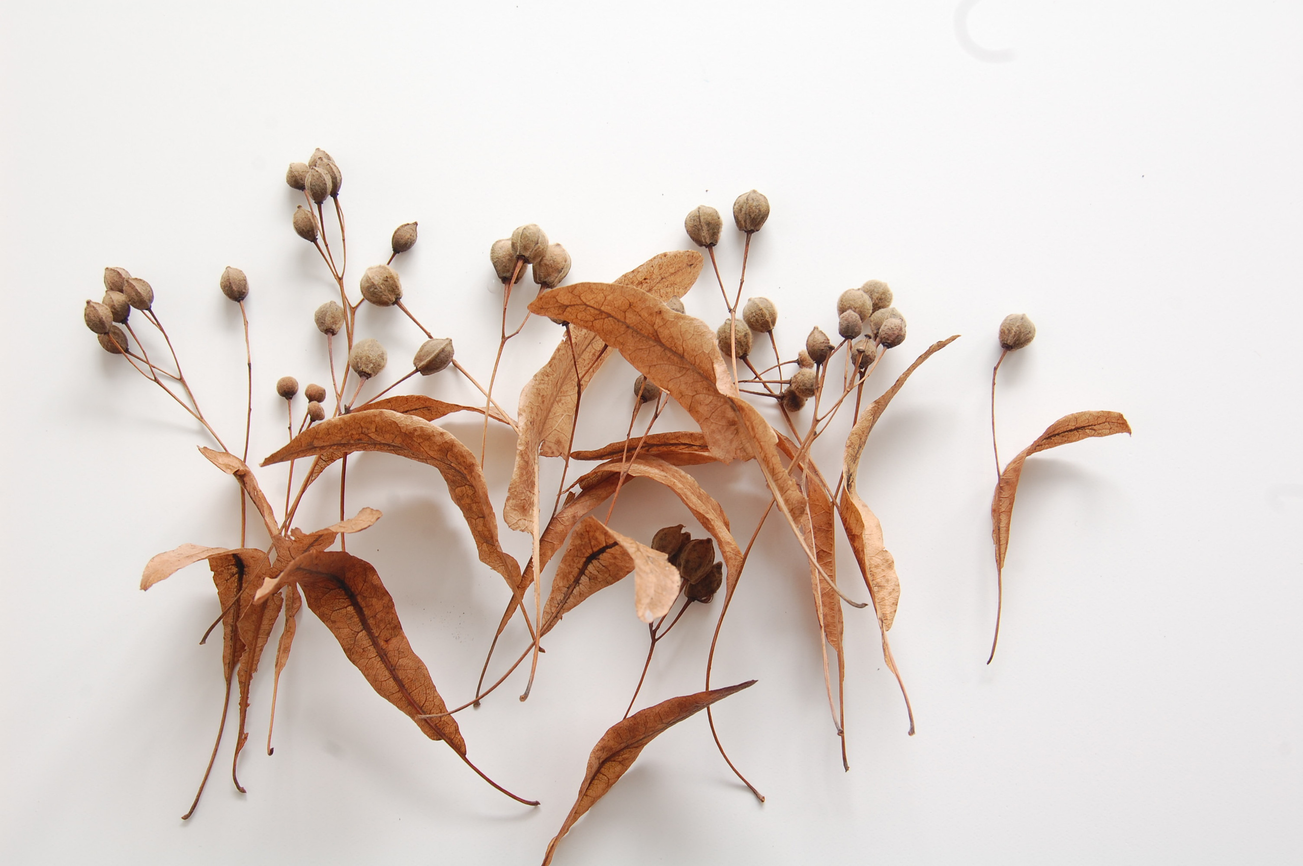 Выставка ''Черный ящик'' с 16 марта по 16 апреля 2021 года