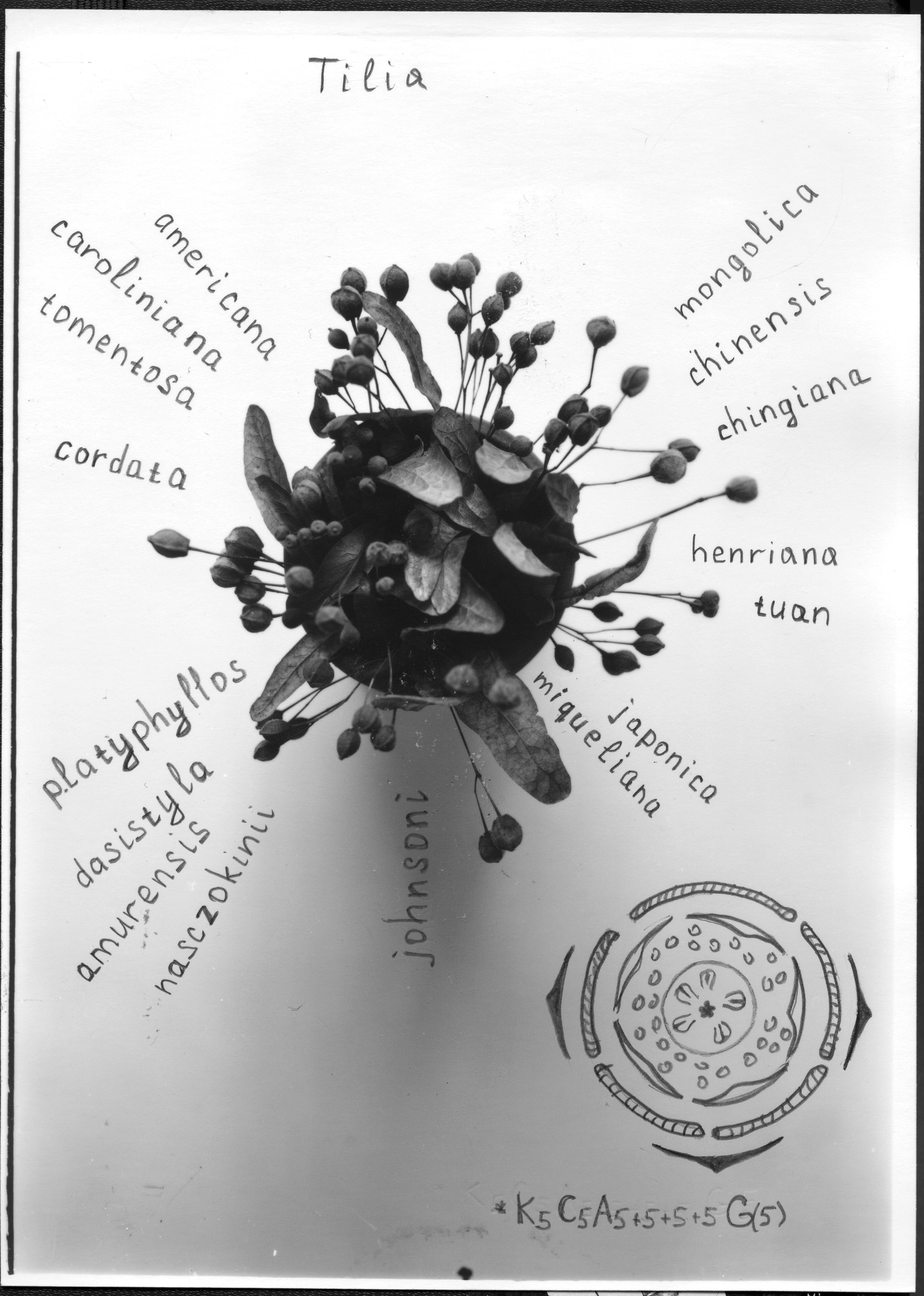 Выставка ''Черный ящик'' с 16 марта по 16 апреля 2021 года