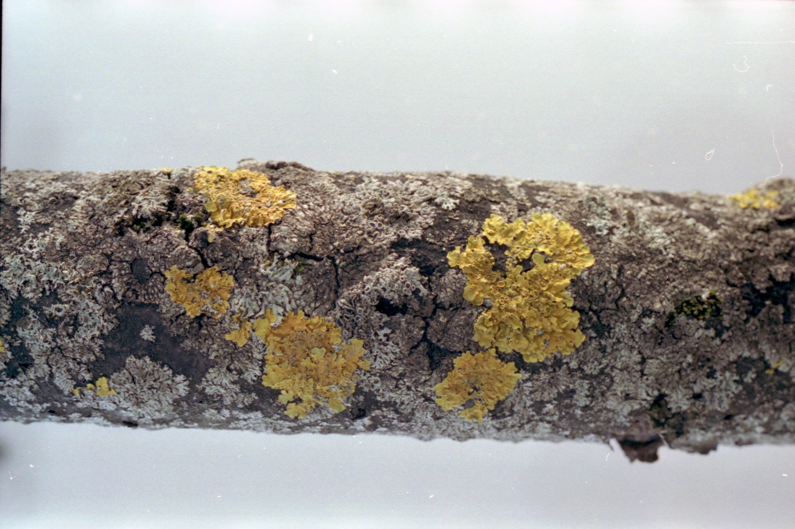 Выставка ''Черный ящик'' с 16 марта по 16 апреля 2021 года