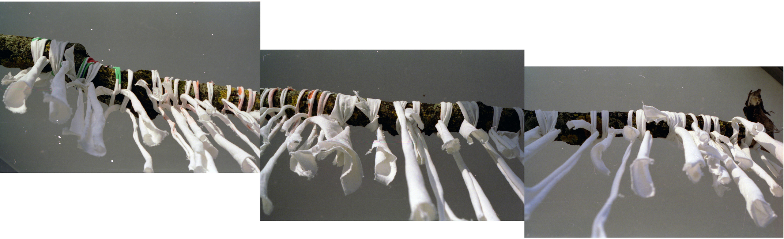 Выставка ''Черный ящик'' с 16 марта по 16 апреля 2021 года