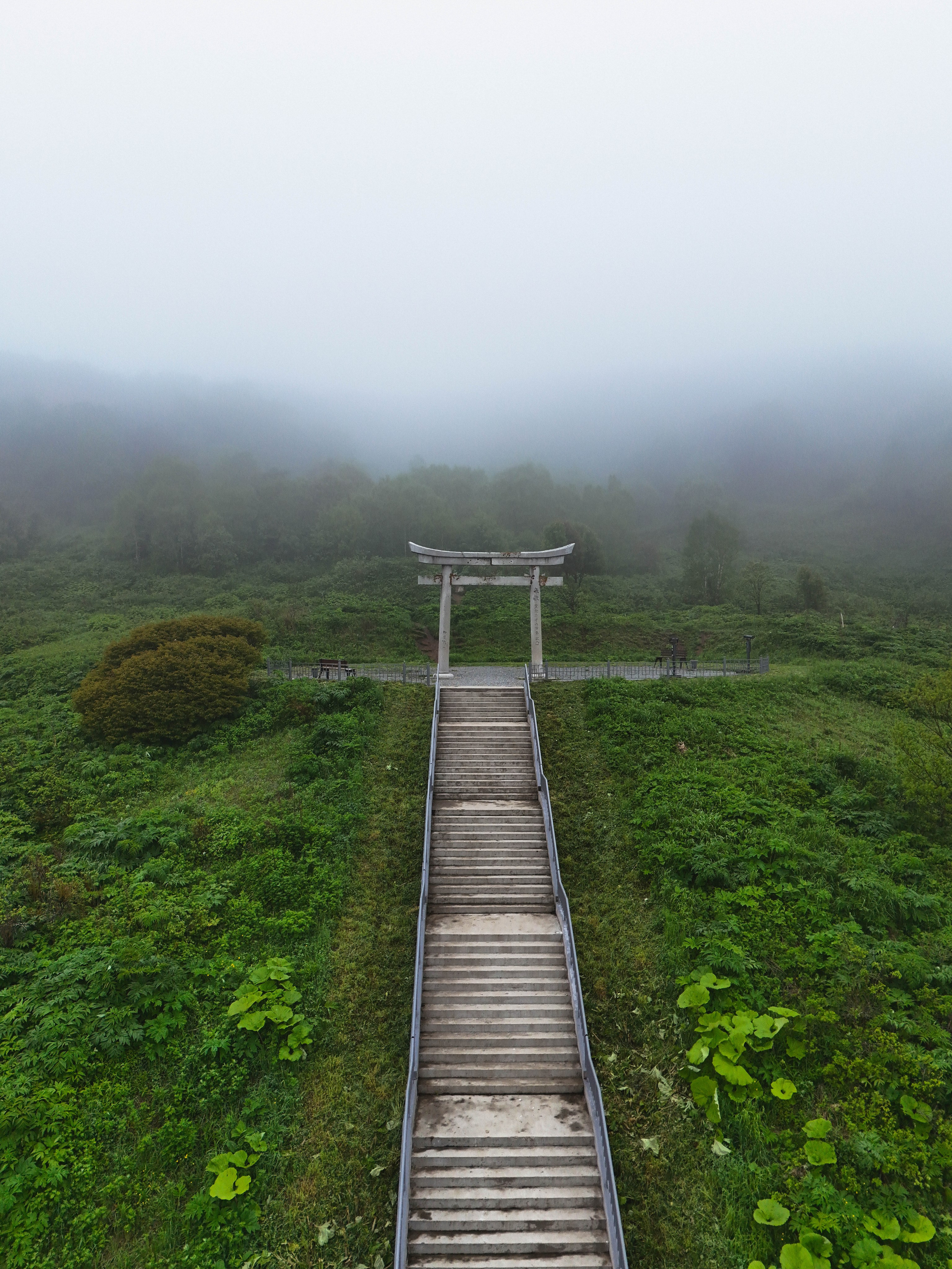 Rest Place — Авторские туры по России с комфортом | Корпоративные и индивидуальные туры | Камчатка, Мурманск, плато Путорана, Алтай, Байкал