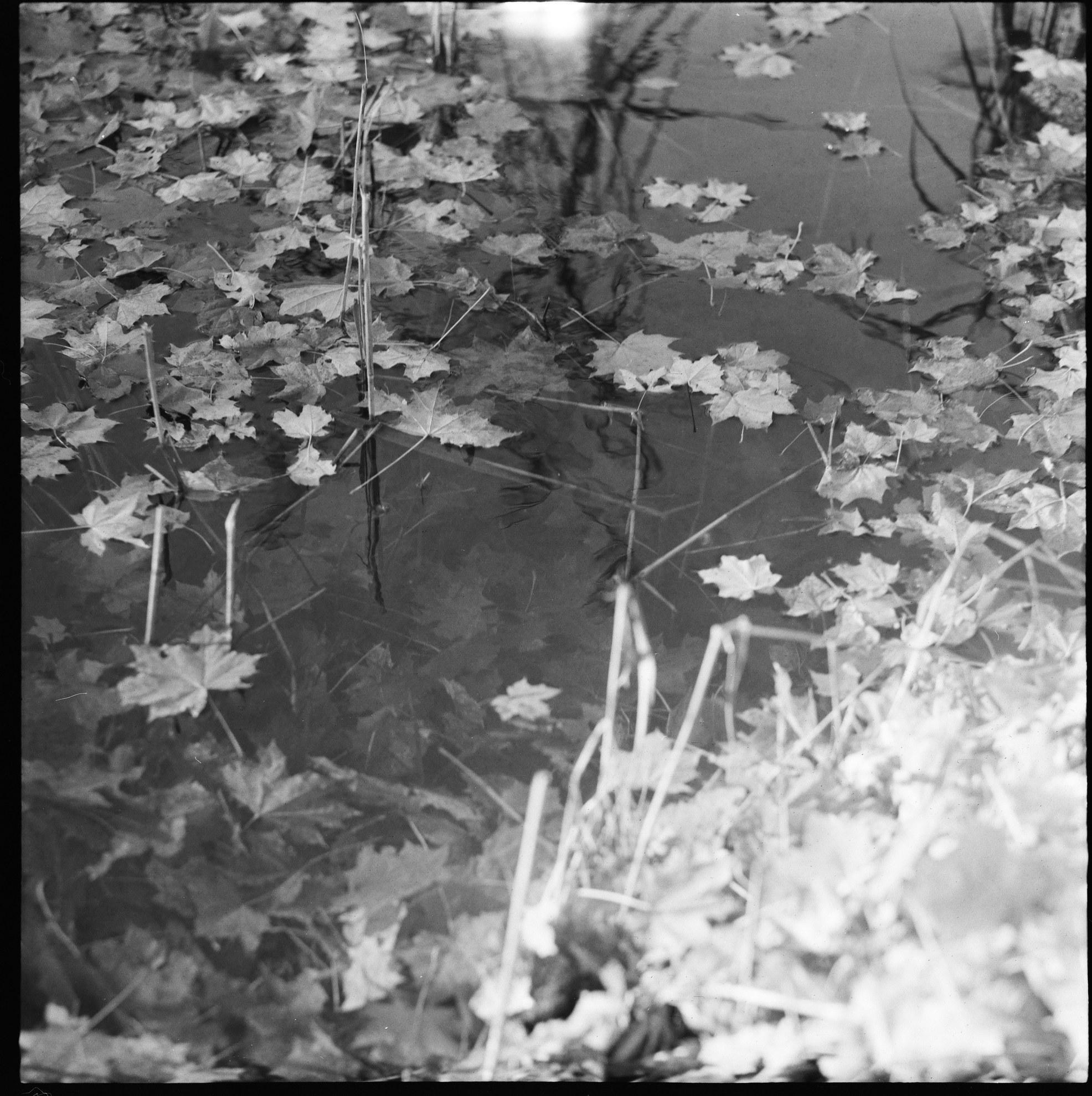 Усадьбы Яропольца. Paintings by the artist Sergey Ratchin