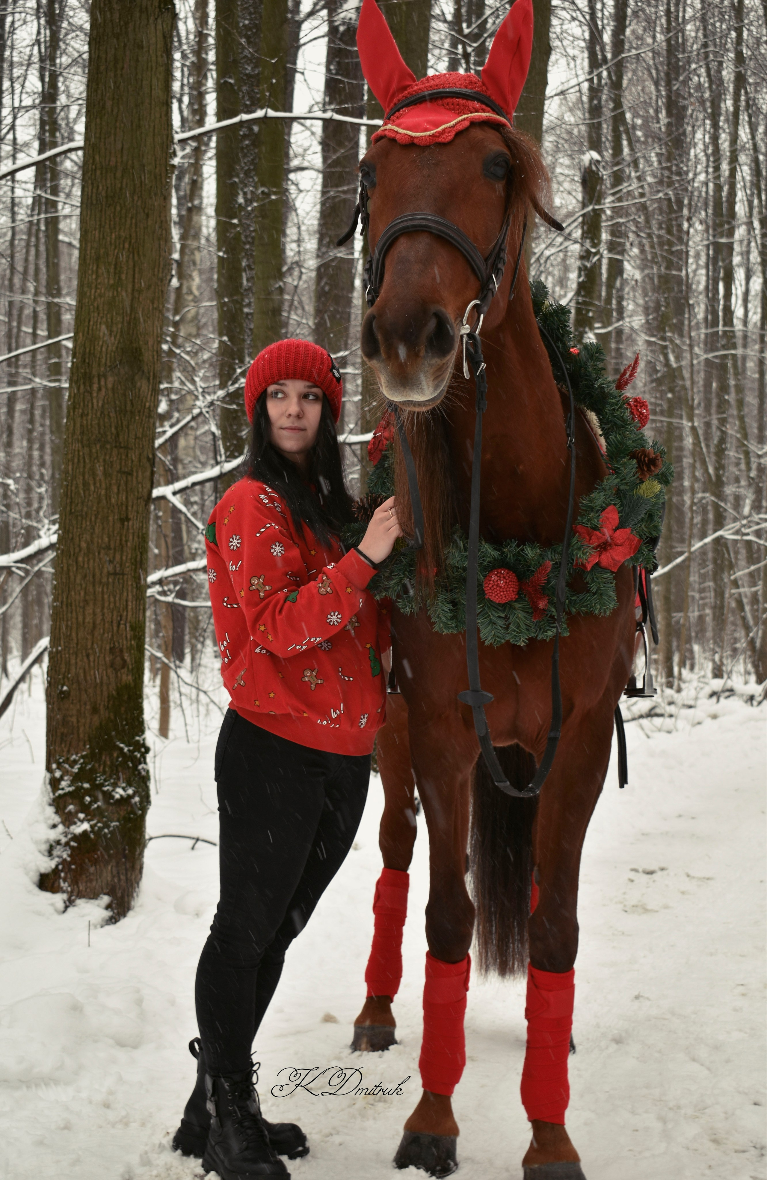 Конный фотограф Москва