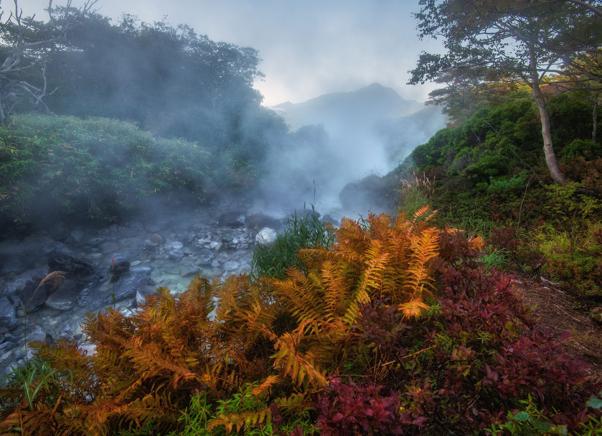 Фототур на Итуруп и Сахалин в октябре 2026