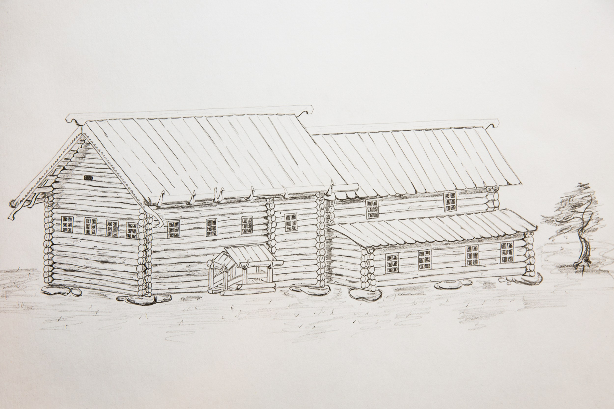 Братья по северу. Юлия Невская режиссер и сценарист документального кино, документальный фотограф