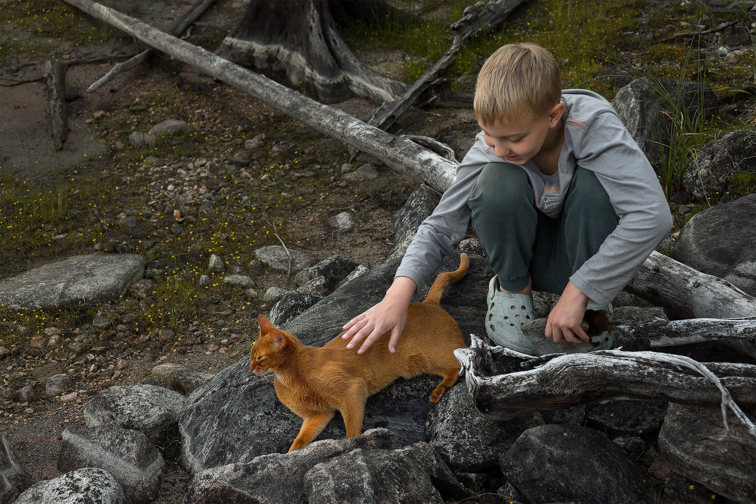 Котики. Сайт фотографа Елены Михайловой. Фотосессии на пленэре в Сестрорецке