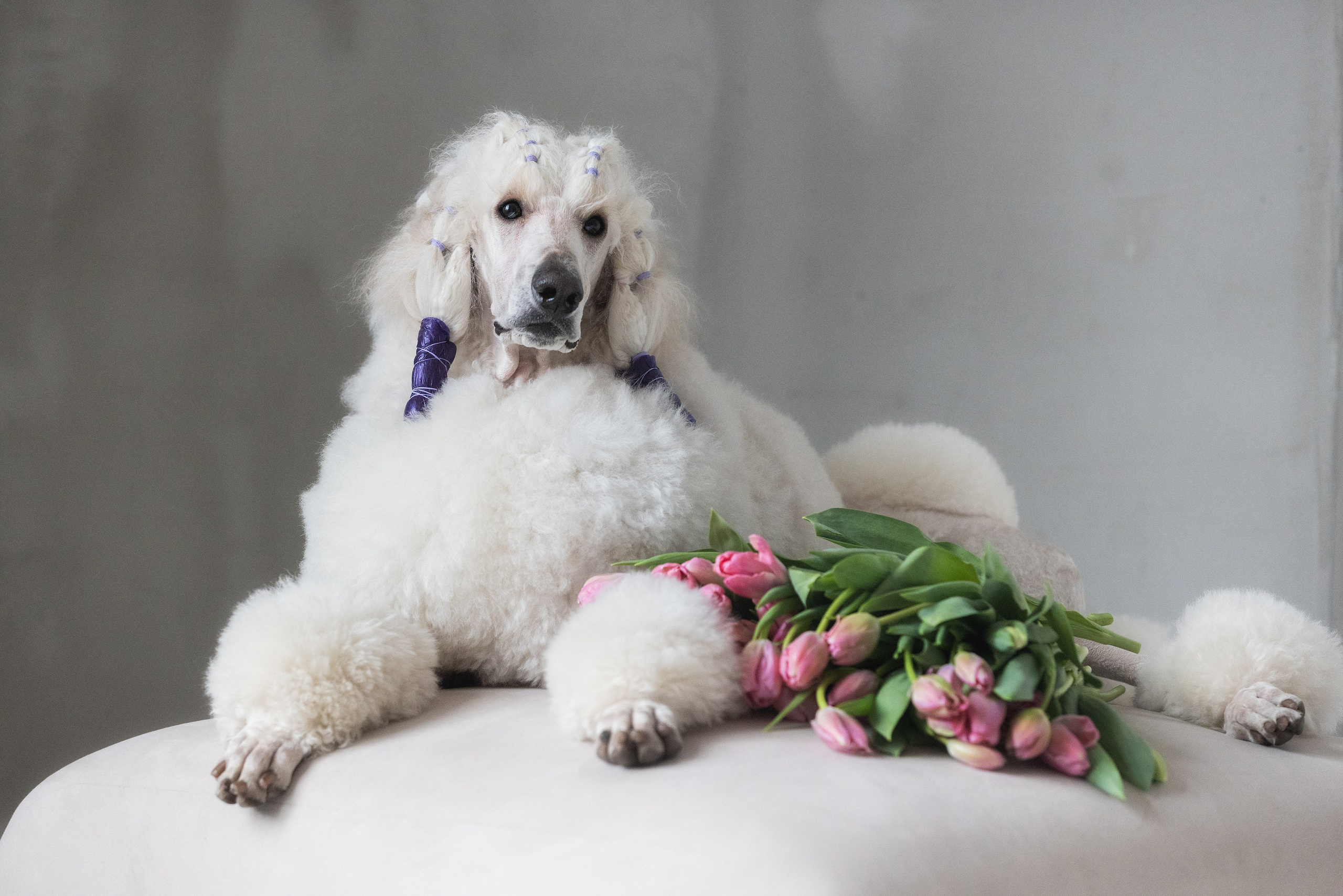 Фотограф Алена Звездина