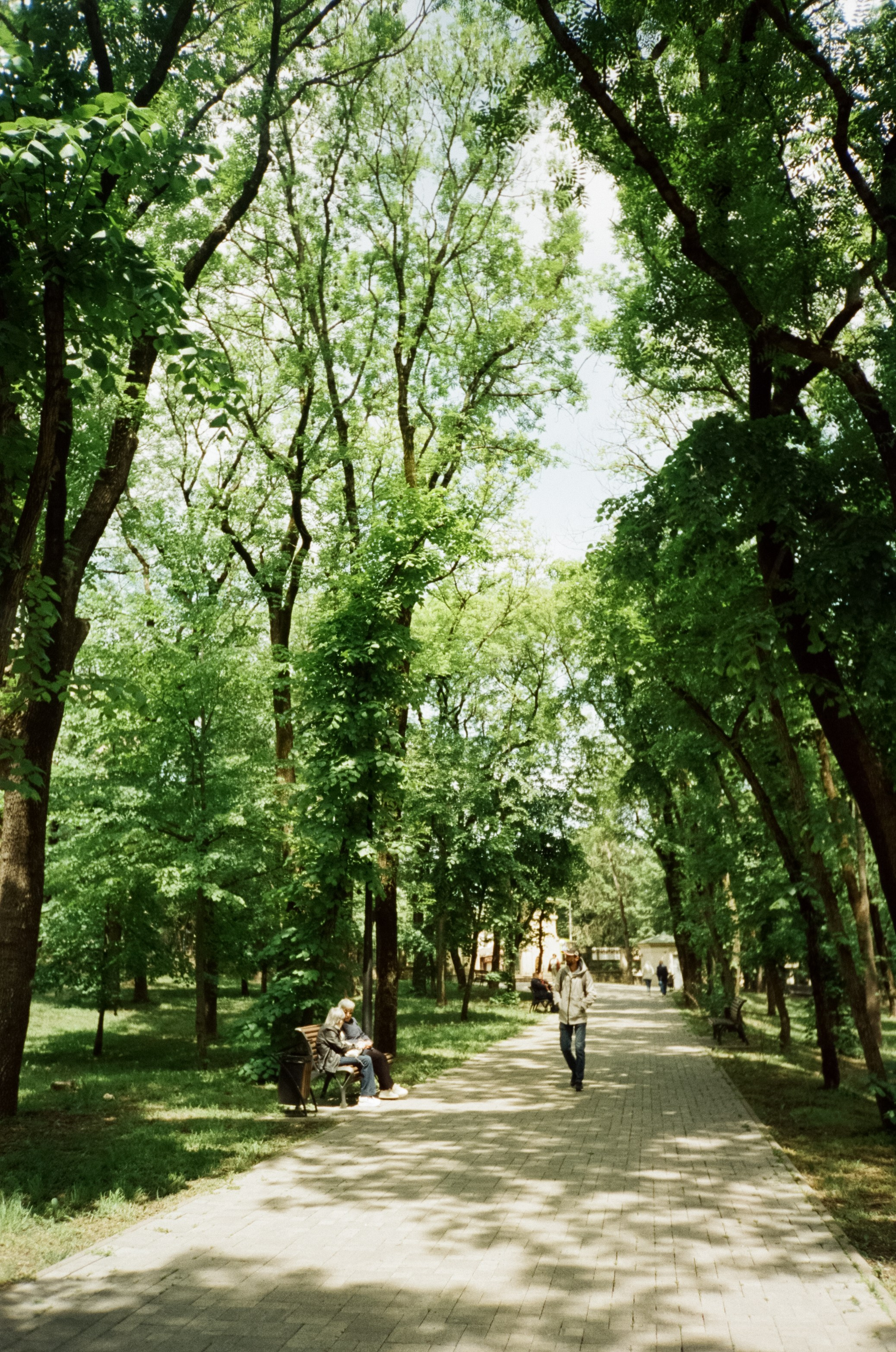 Солнечные Ессентуки. Прогулка в Курортном парке. Фотограф-документалист Мария Осокина