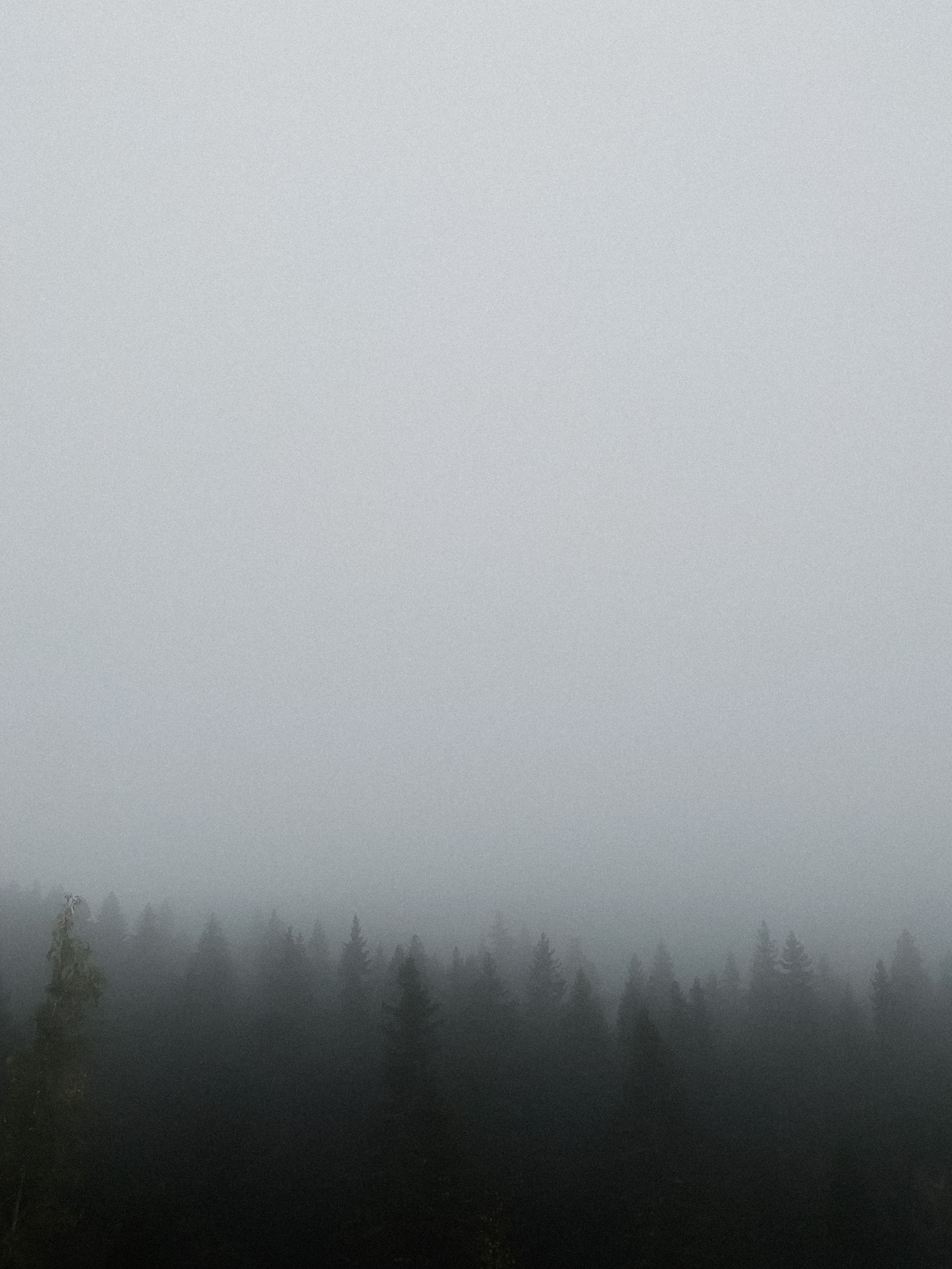 Фототур в Сортавала