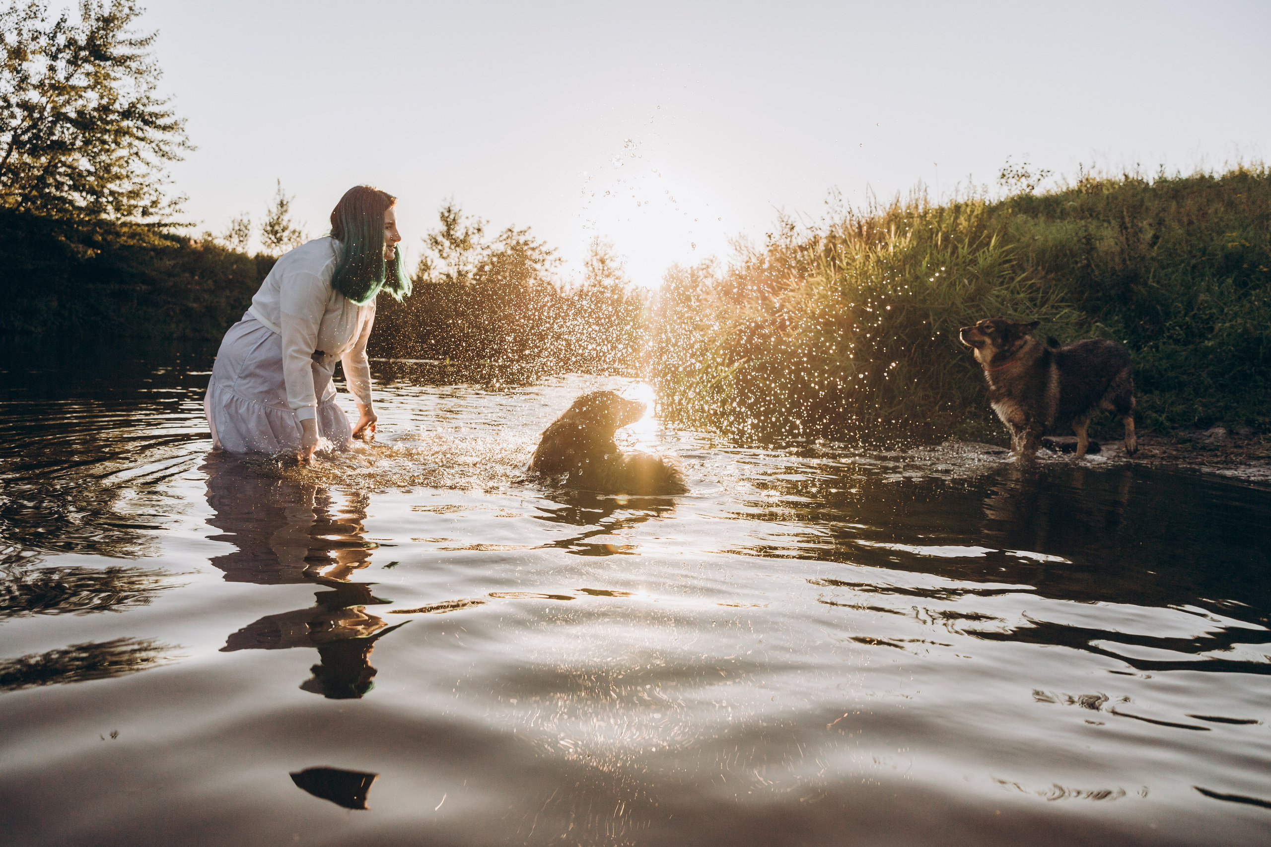 Фотограф-анималист в Москве Соломонова Варвара