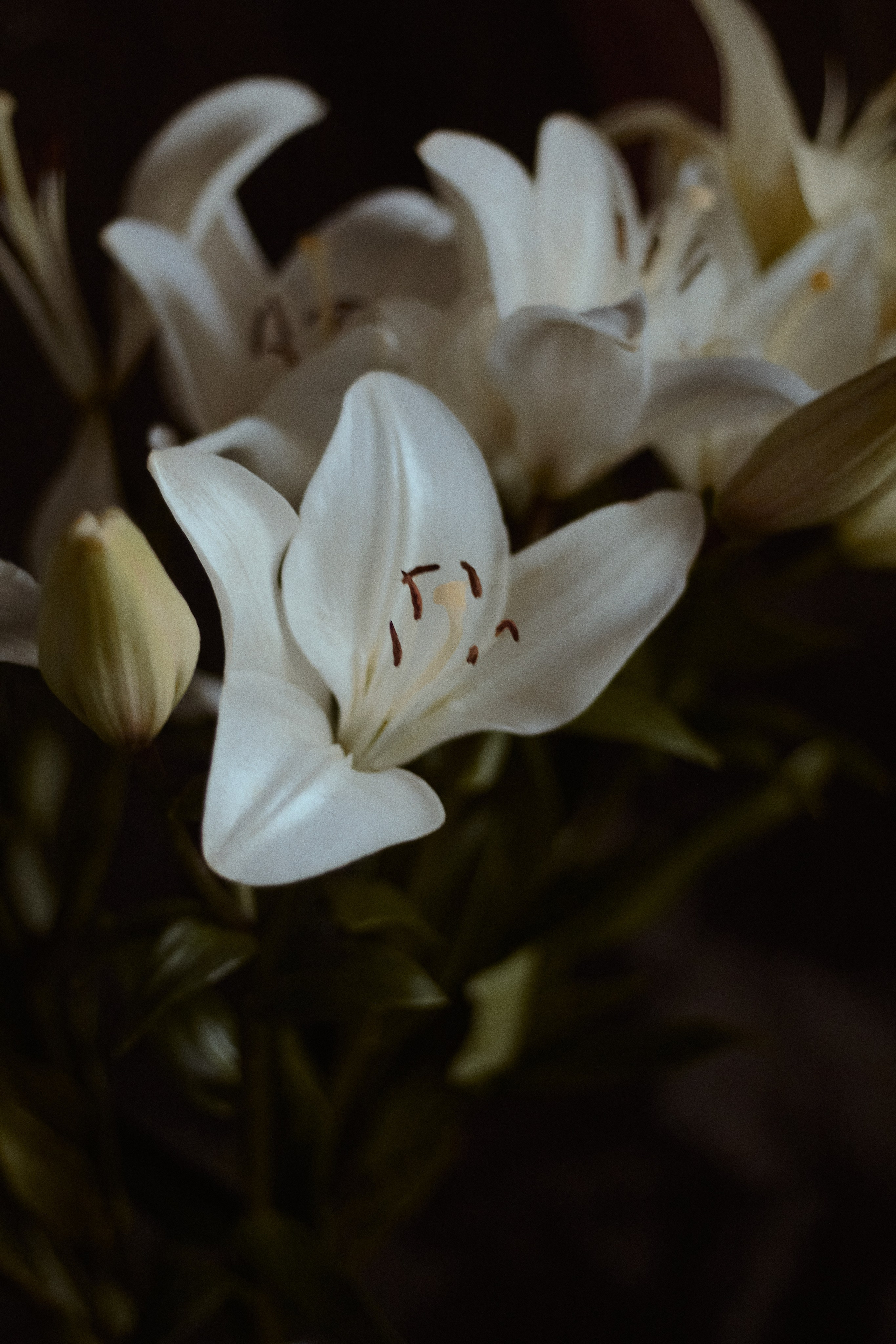 По мотивам Возрождения. Фотограф лавстори Москва/МО Приятелева Ангелина