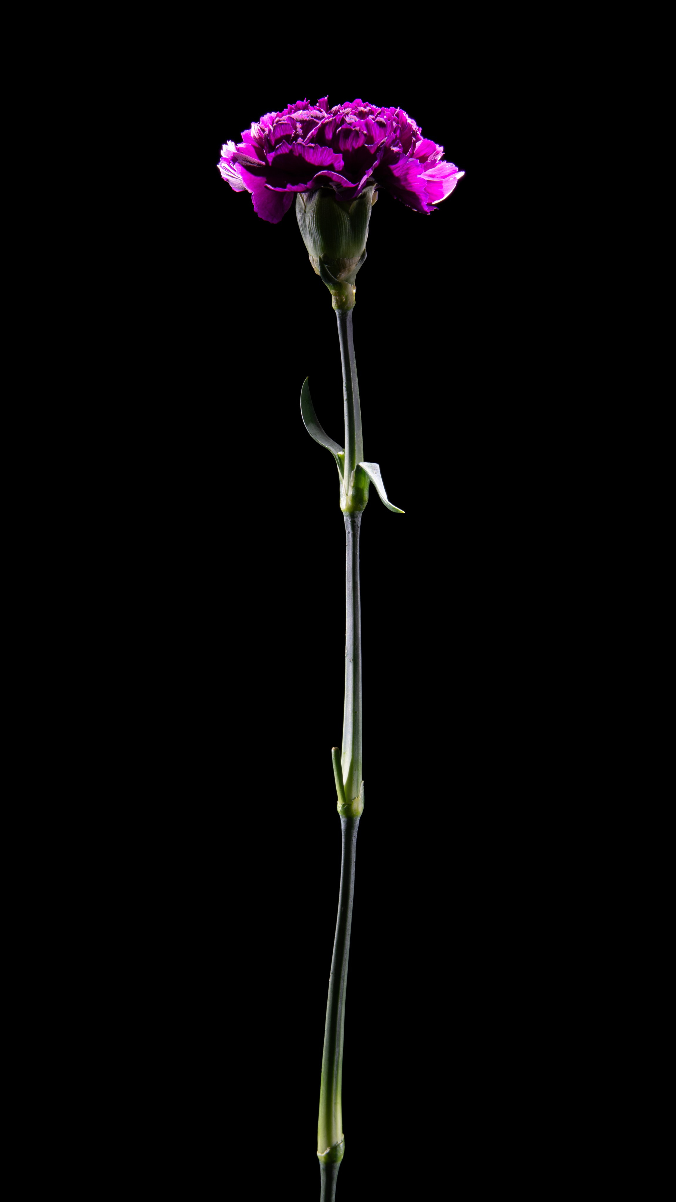 Проекты. Sakunov Photo