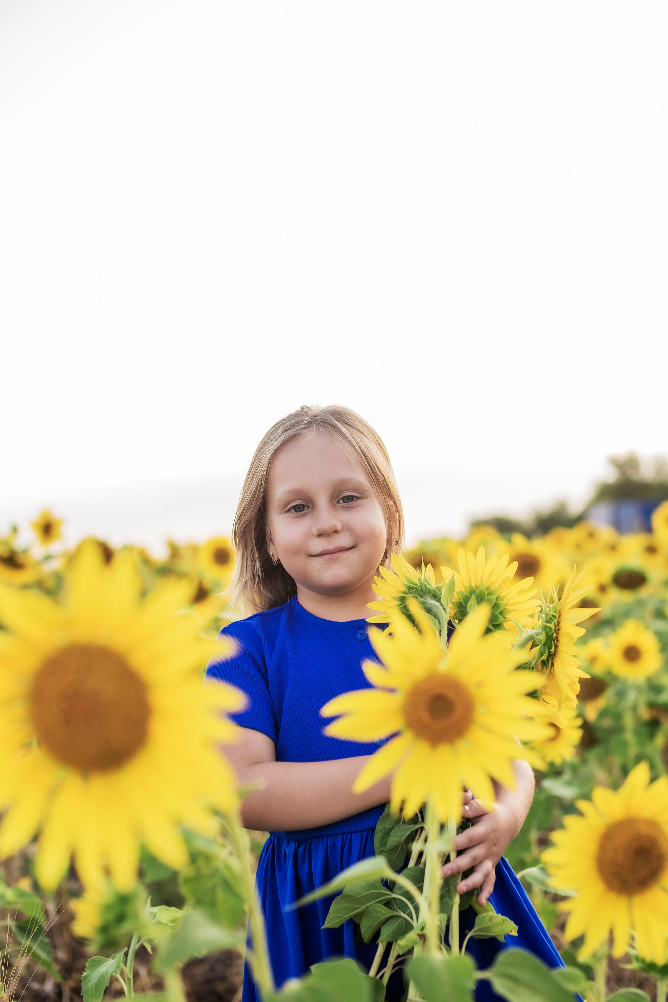 Фото в подсолнухах. Семейный фотограф в Саратове