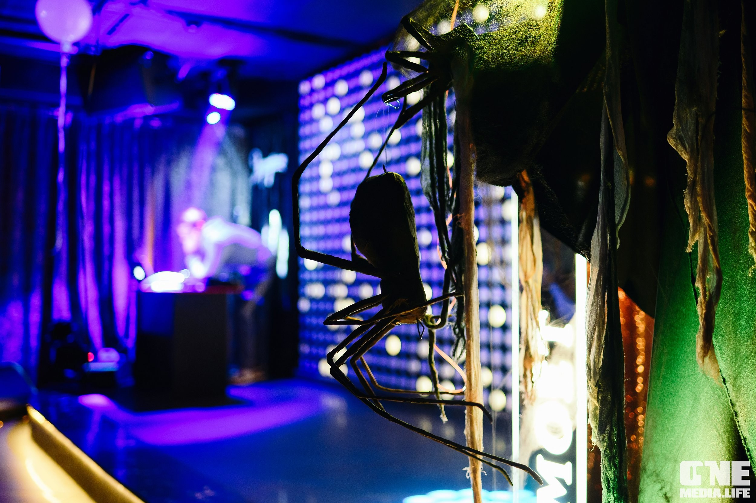 Фоторепортаж из караоке-клуба Эйфория. One Media Life: фоторепортажи, фотоотчеты с мероприятий и заведений