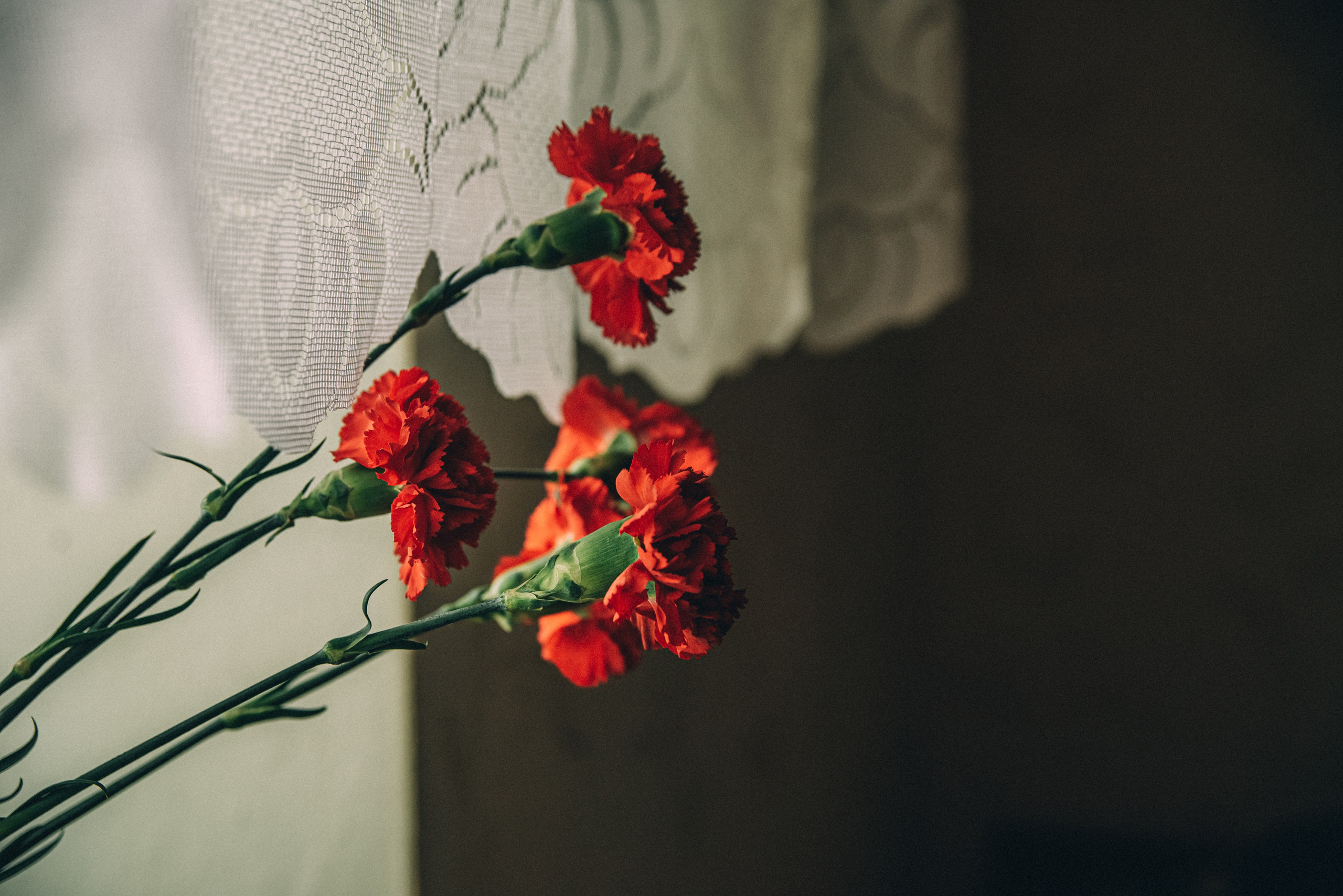 XIII Автопробег 2023 «Ветеранам глубинки — заботу и внимание» (маршрут № 3). Фотограф в Самаре Елена Фомина