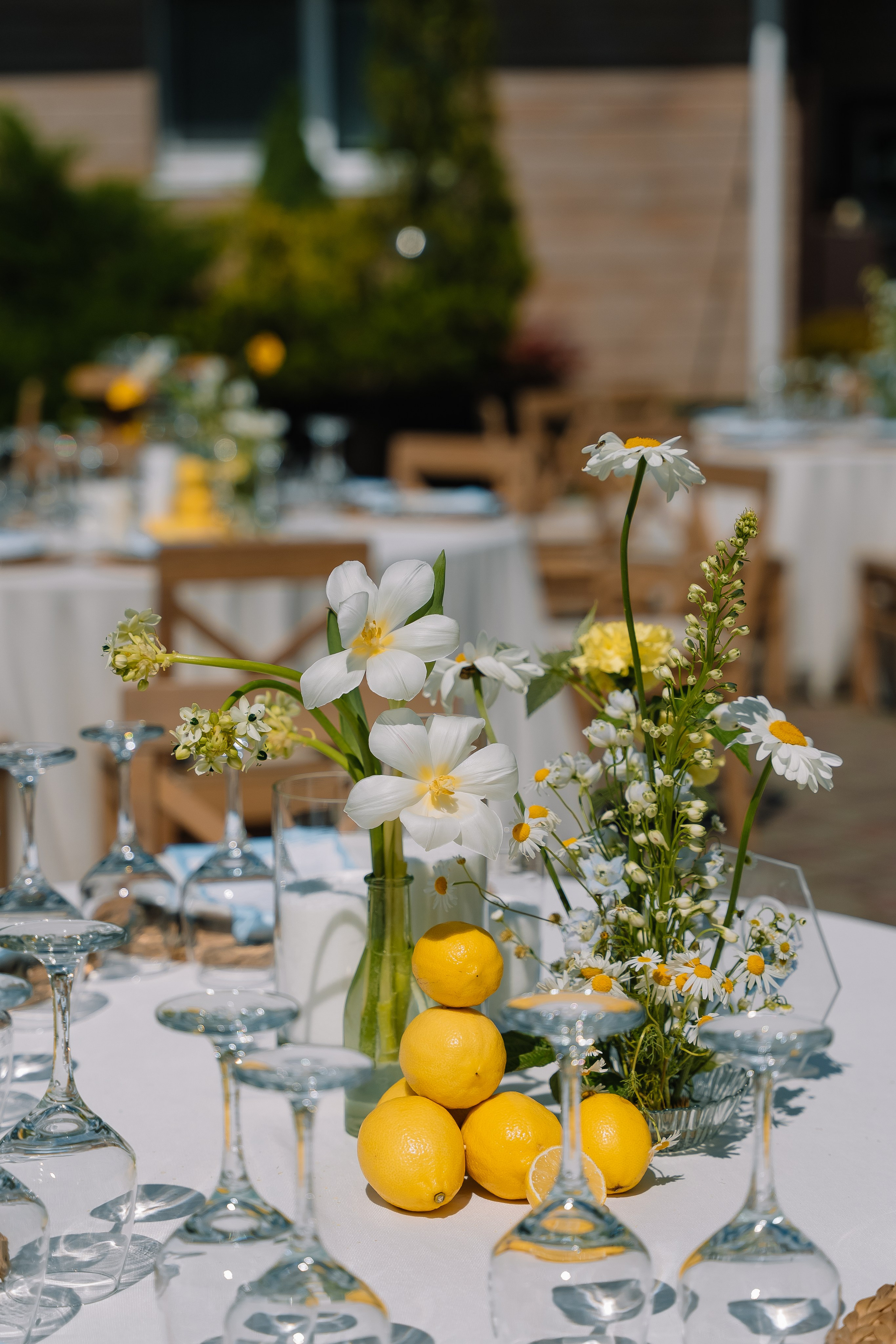 Новая глава кривой. Свадебный Фотограф Минск || Фото и Видеосъёмка Минск || Другие города