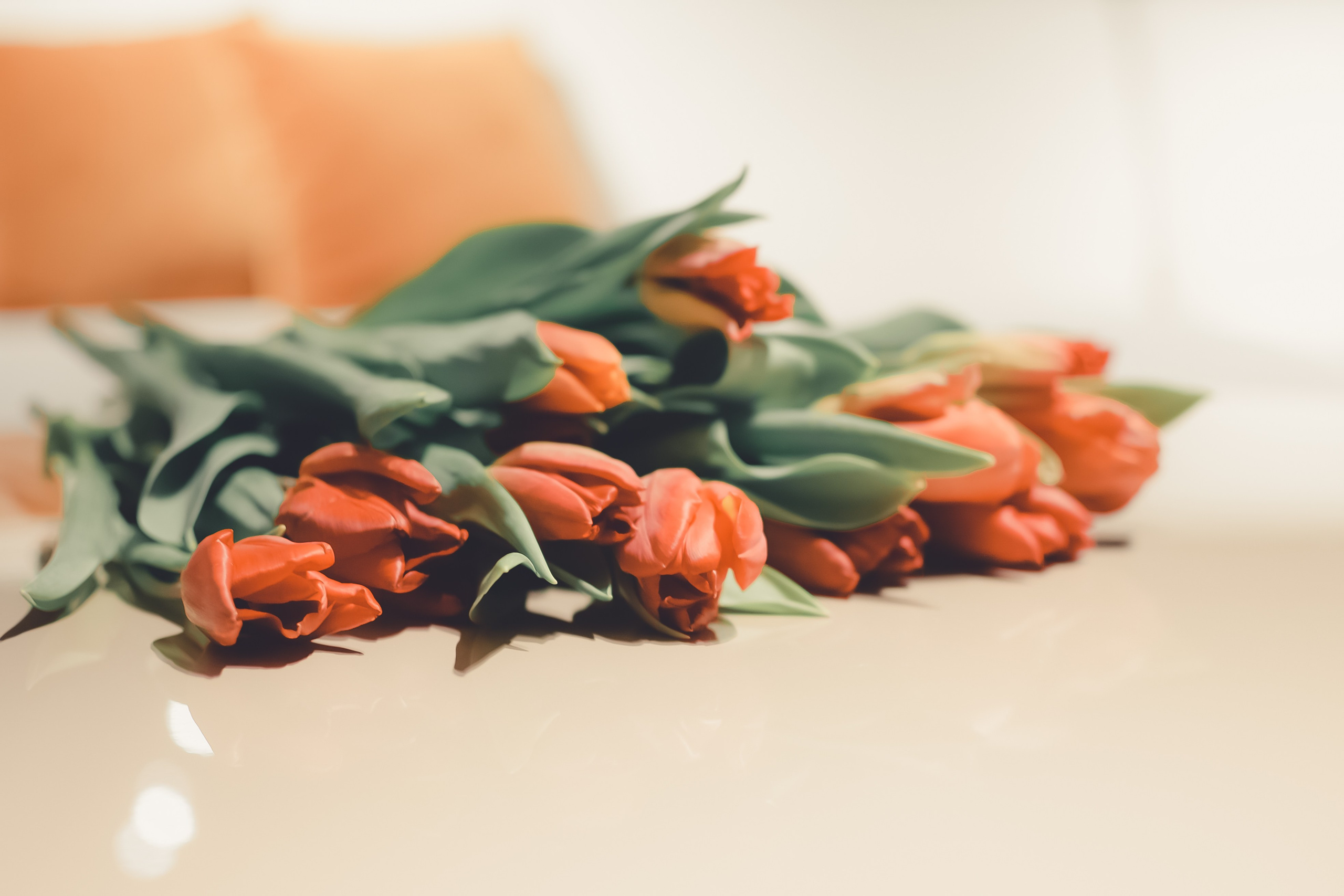 Мамин день 9 марта 2024. Фотограф Ольга Морятова