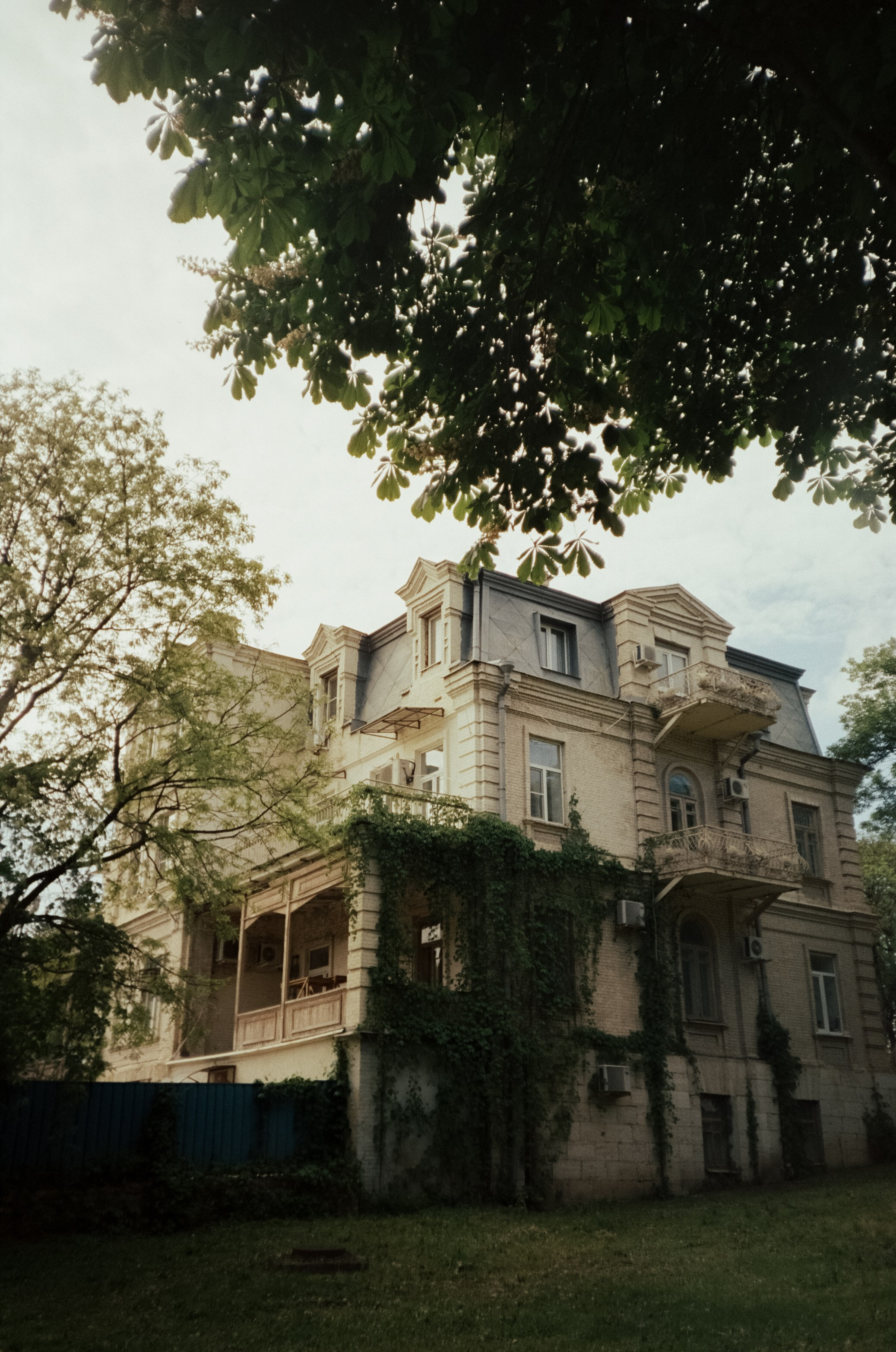 Стрит в Ессентуках. Дворики, дома и кот в окне. Фотограф-документалист Мария Осокина