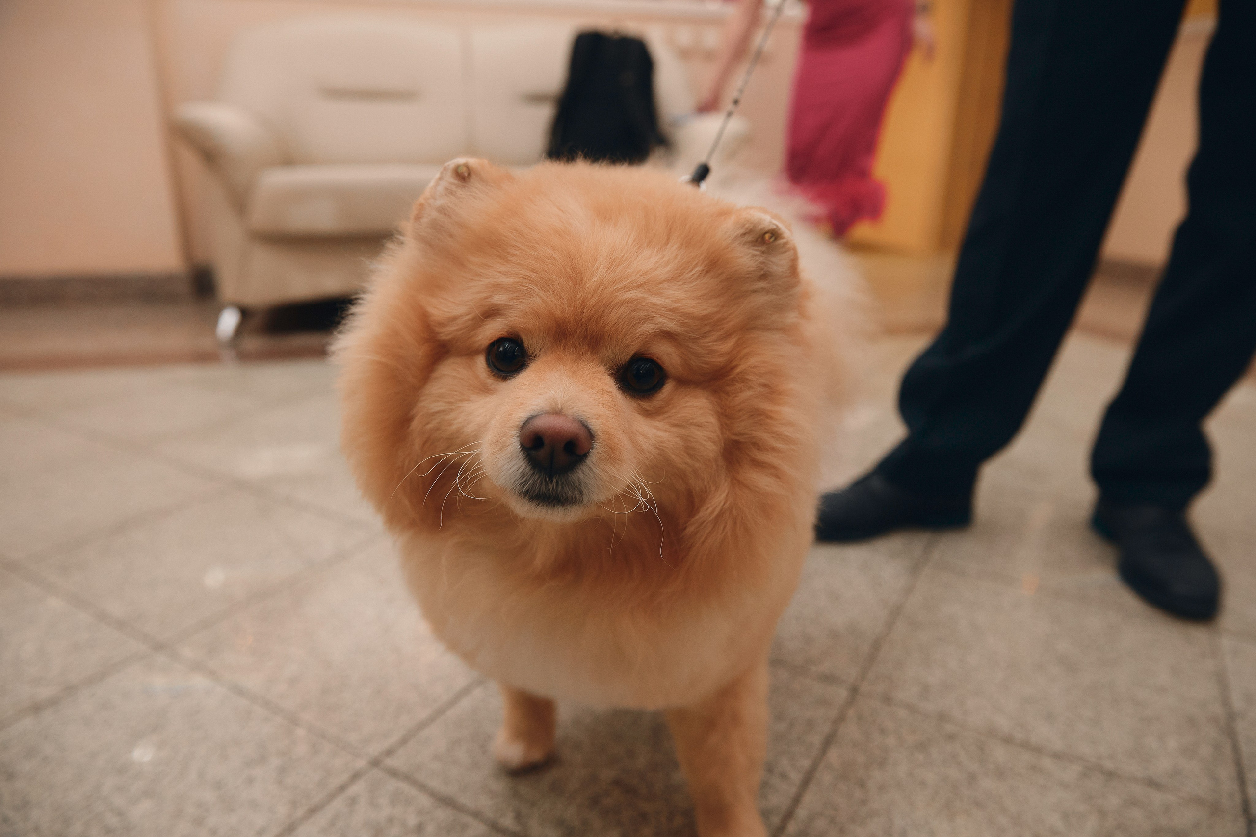 Мария и Эдуард