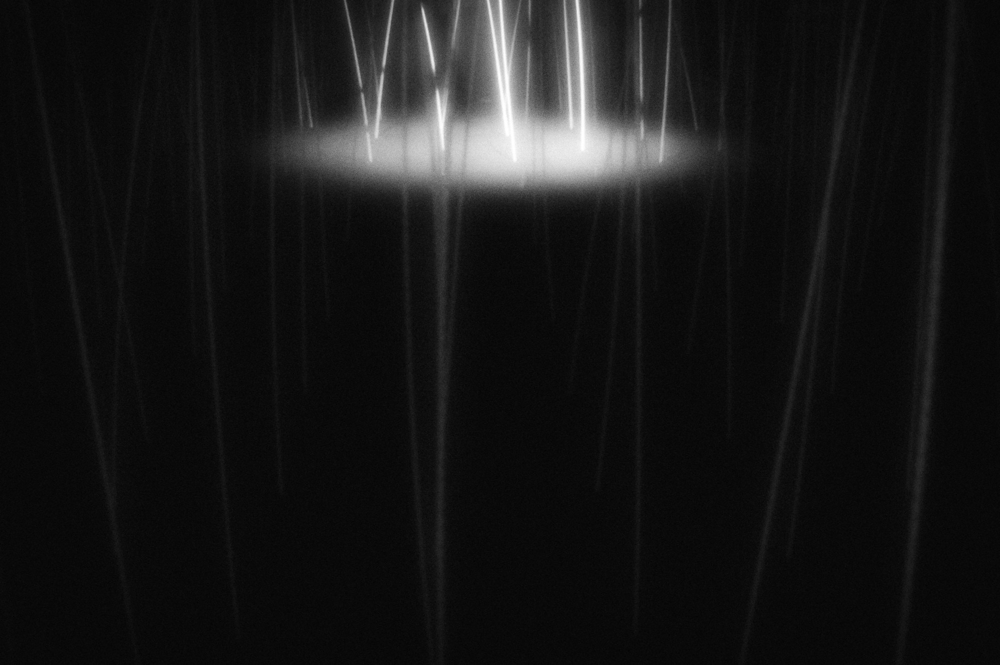 Not in vain. Rita Novoselova. Photography