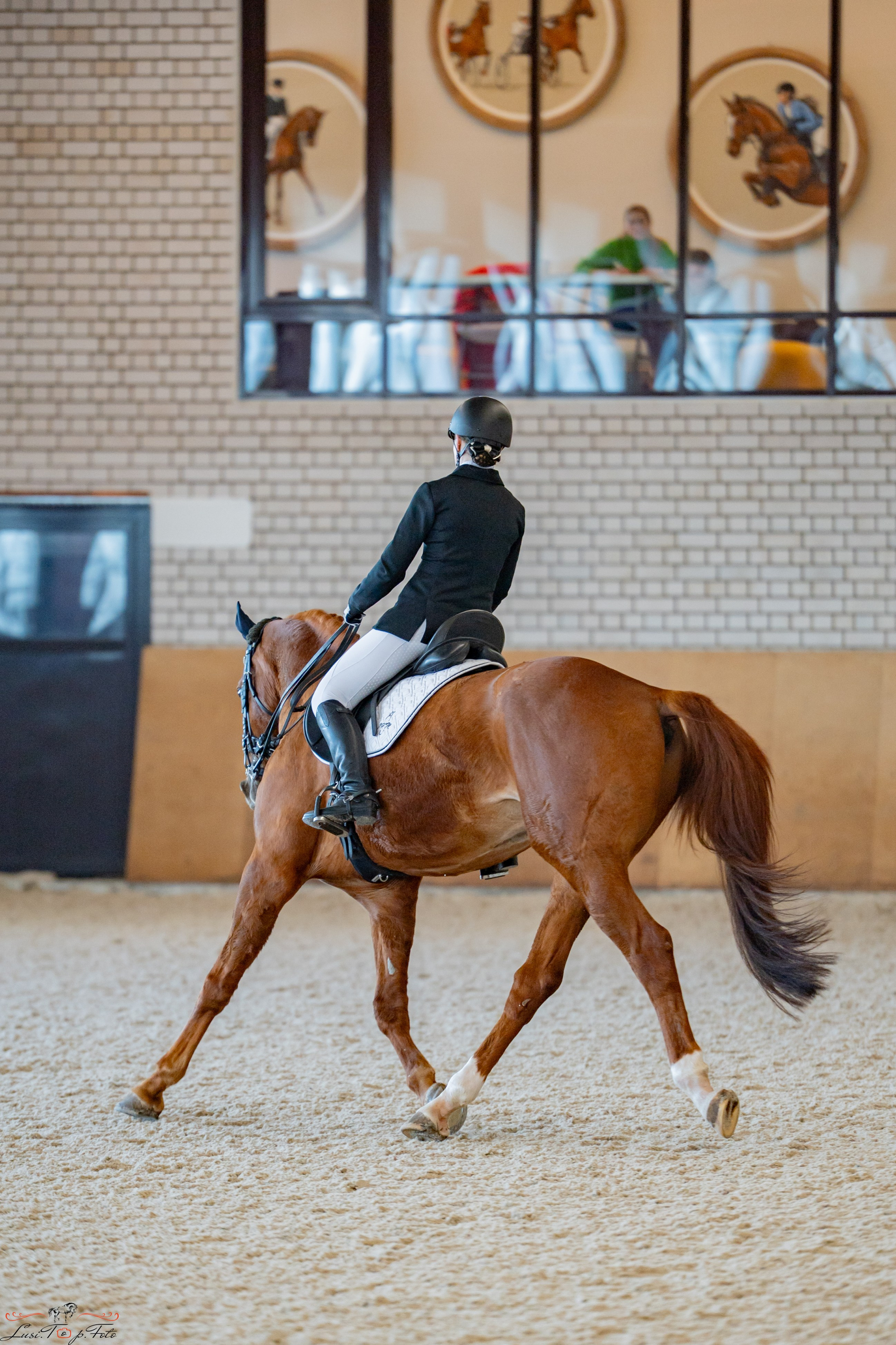 Эквипарк 6 этап Кубка Клубов. Конный и фотограф с животными в Твери Топталова Люся