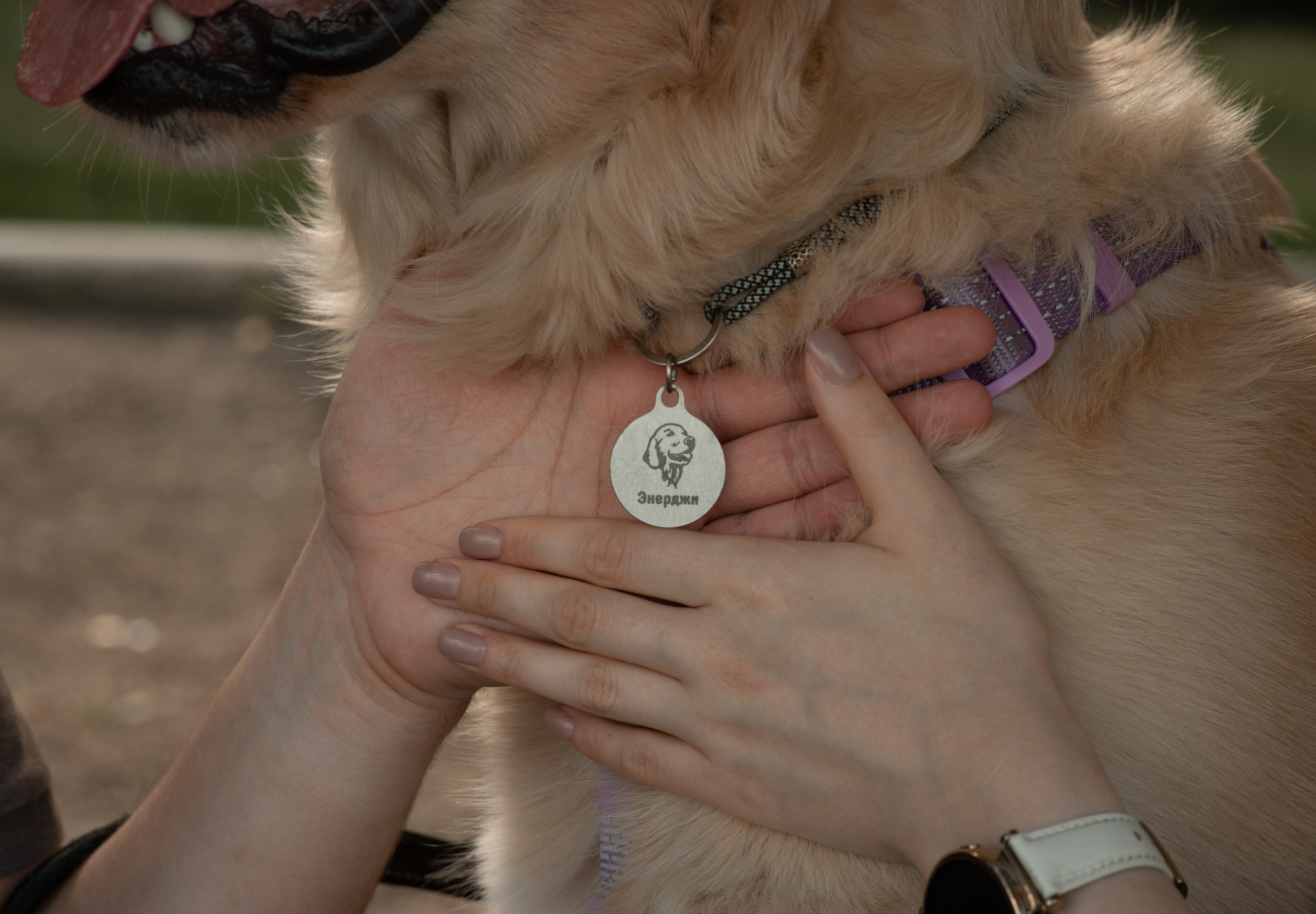 Прогулка Вероники, Артема и Энерджи. Семейный и детский фотограф в Екатеринбурге Наталия Акимова