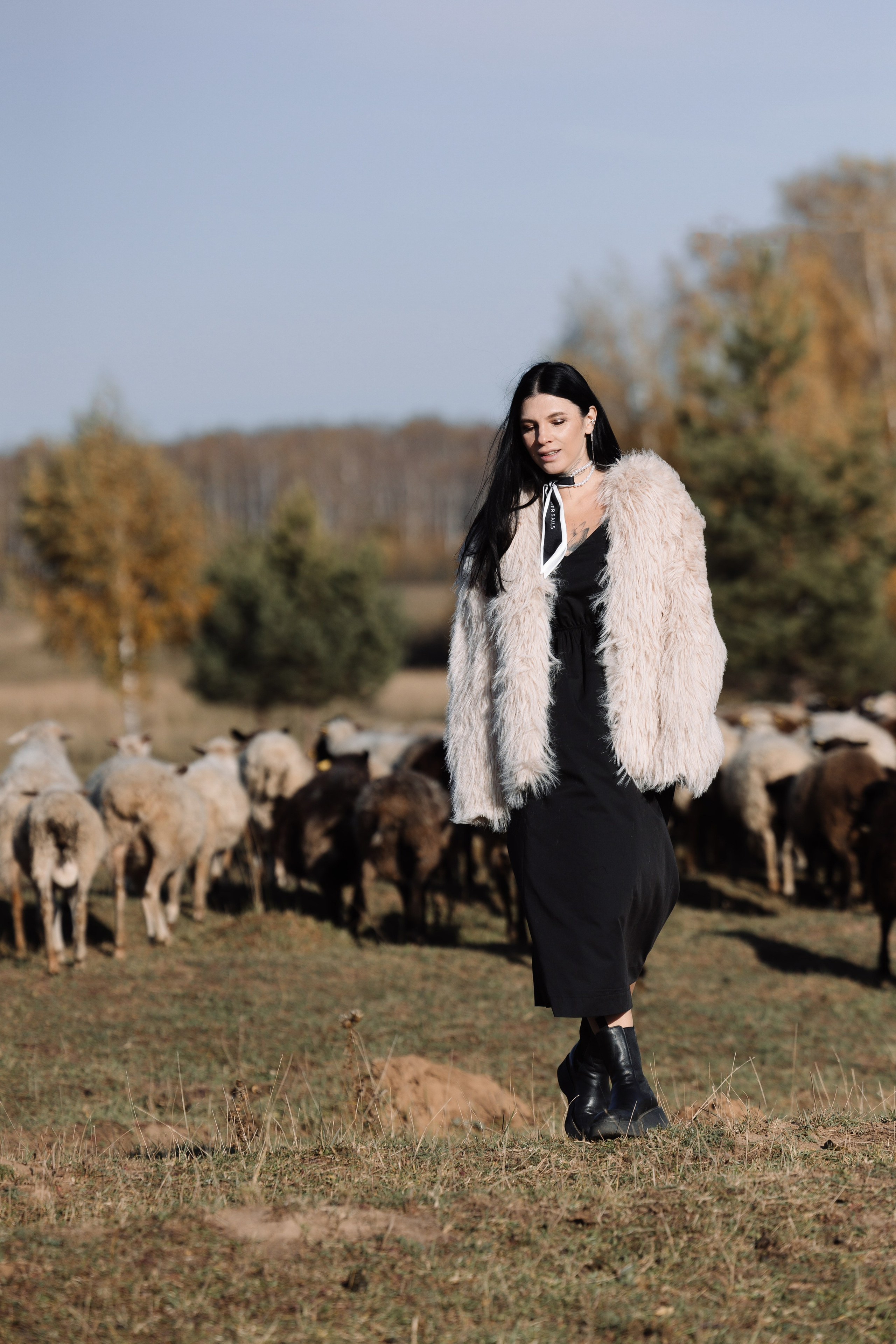 Охота на овец