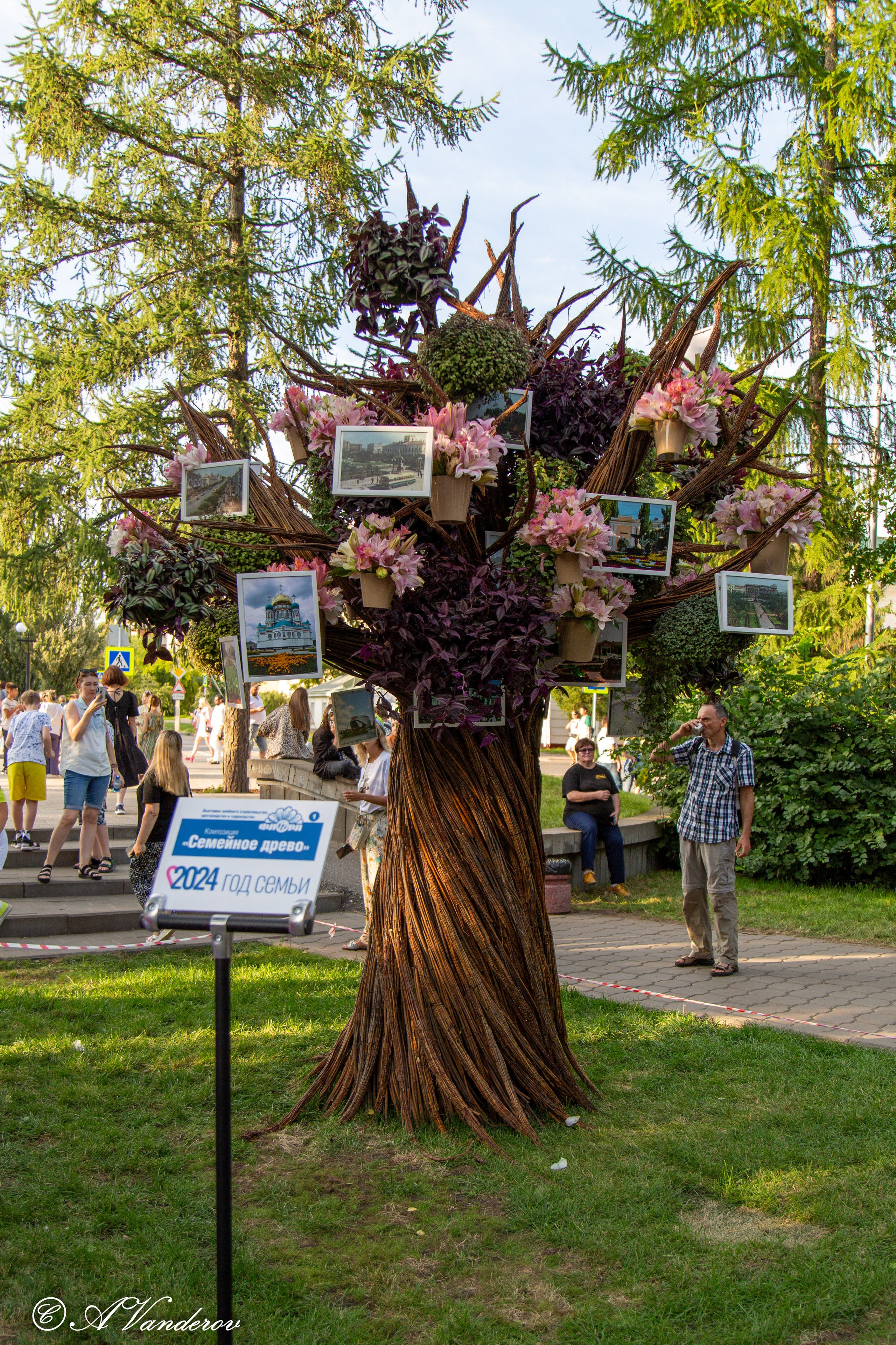 Фотограф Омск | Александр Вандеров