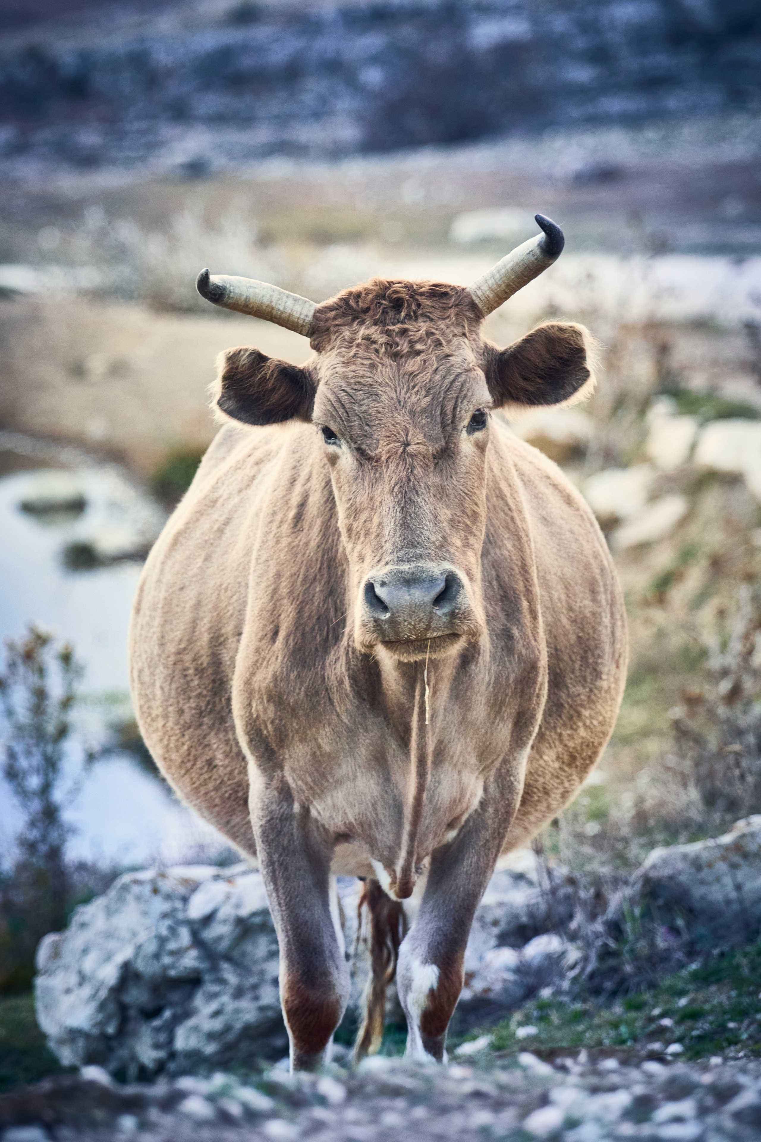Спортивный и репортажный фотограф в Екатеринбурге Артём Арафаилов