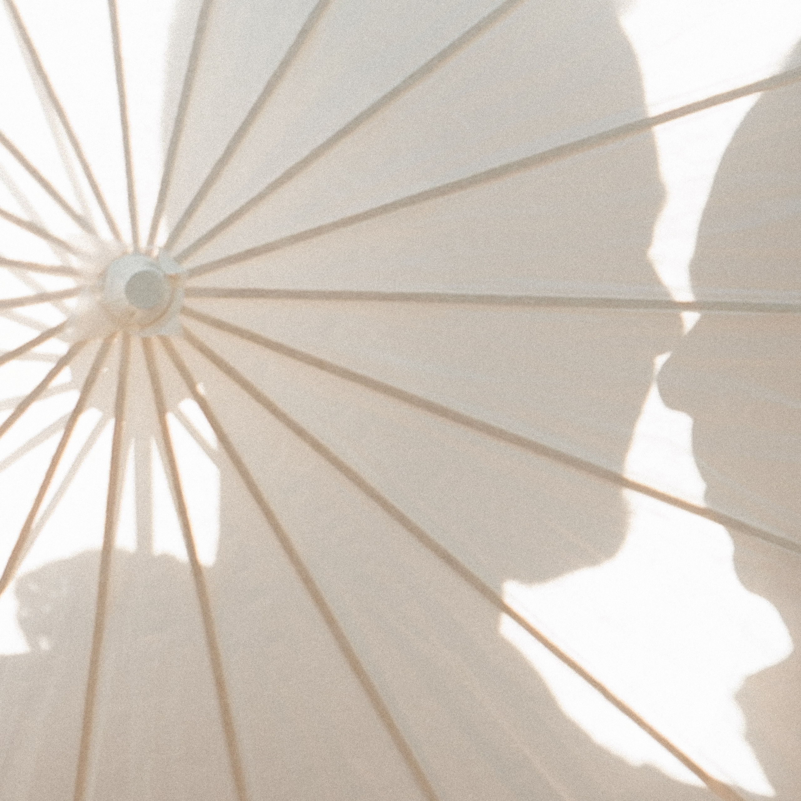 СВАДЬБЫ. Свадебный и event-фотограф Иван Волнухин