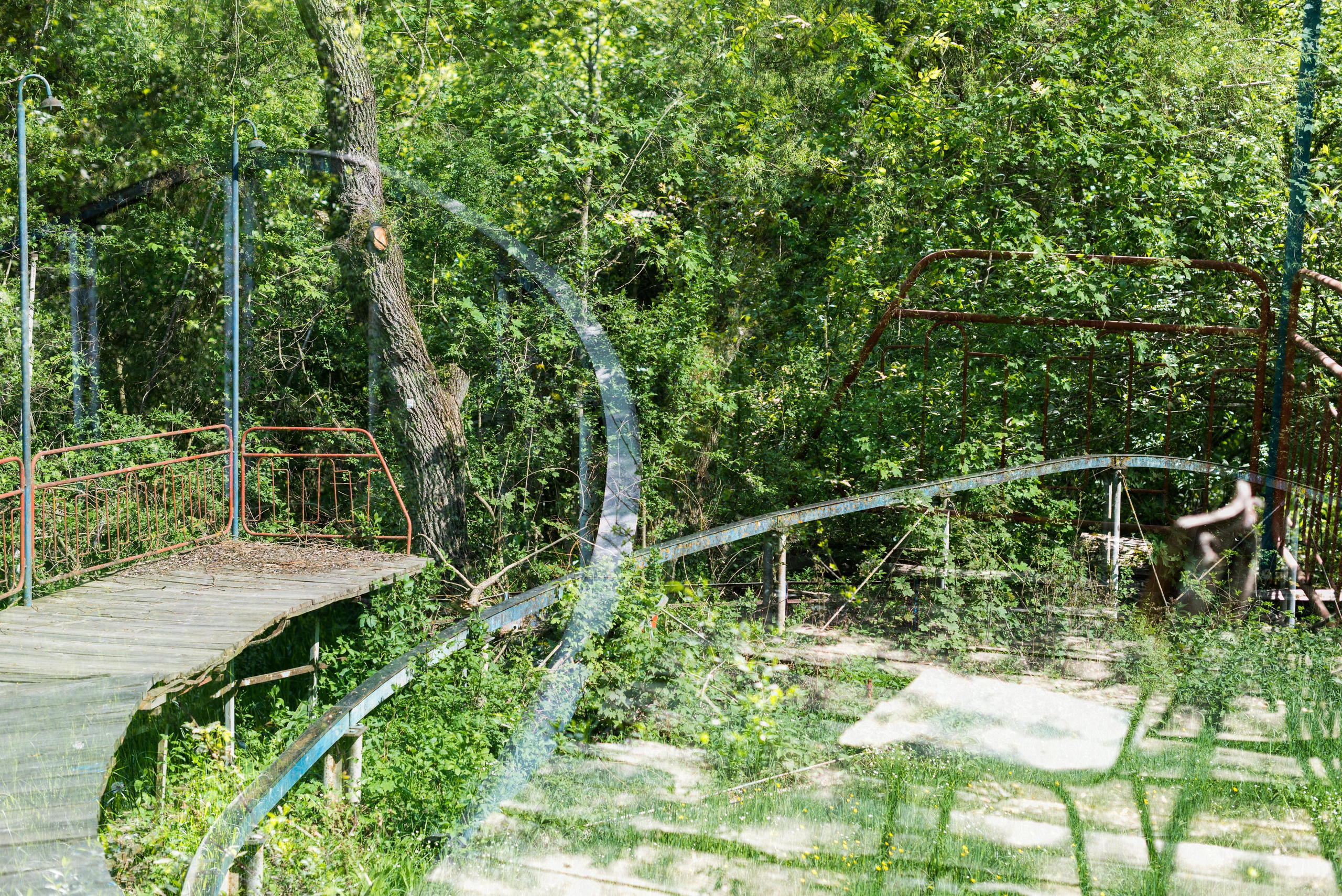 Dilijan park, Armenia. Событийный и тревел фотограф в Москве и по всему миру Мария Салахутдинова