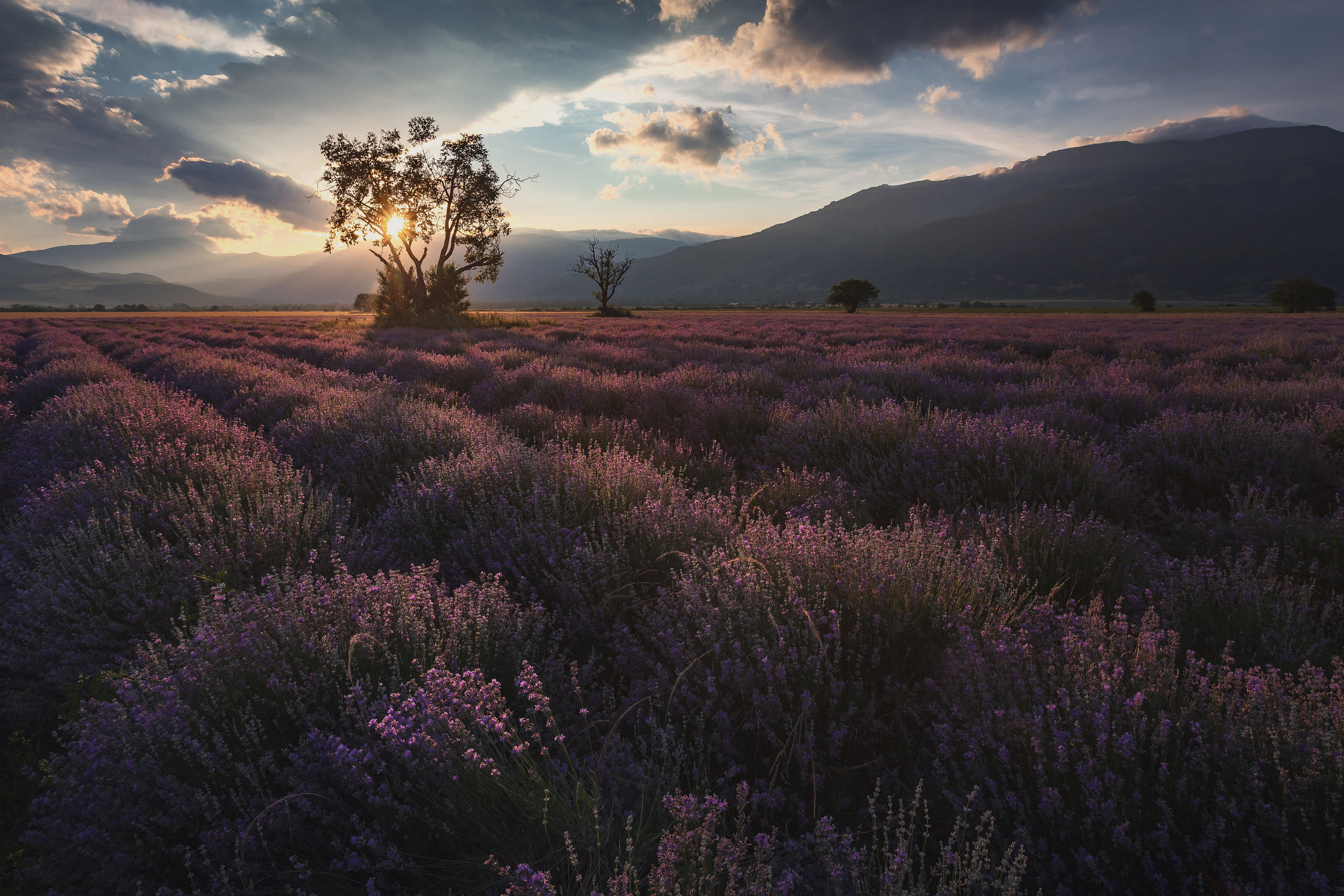 Дмитрий Купрацевич профессиональный пейзажный и travel-фотограф