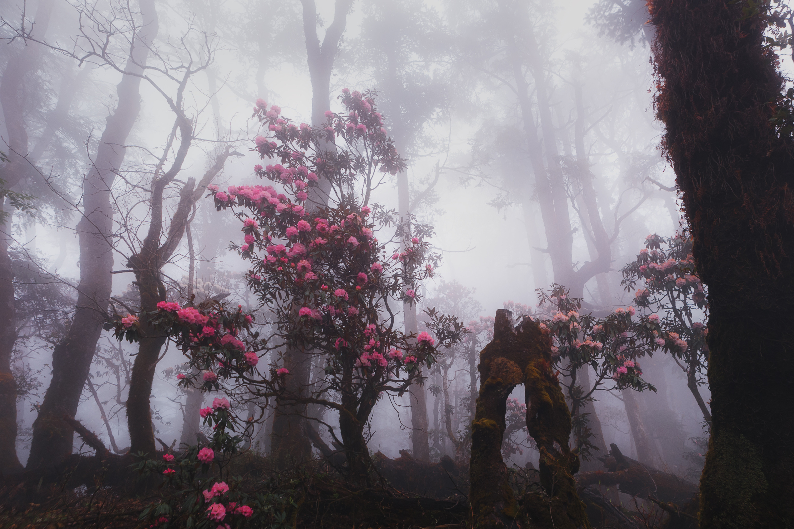 Дмитрий Купрацевич профессиональный пейзажный и travel-фотограф