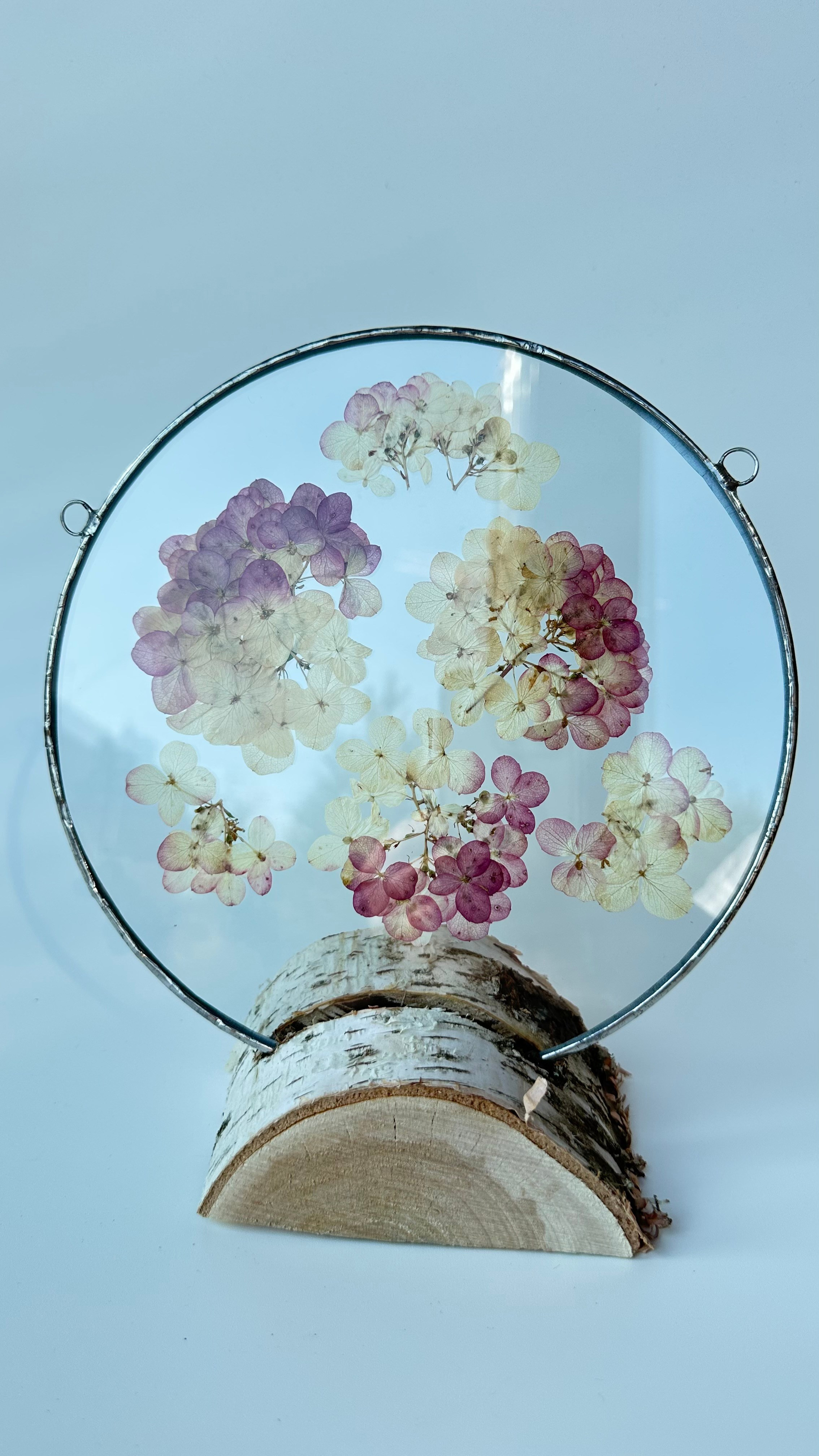 Гортензия круг 20 см. Оформляю пространства. Витражи с сухоцветами в технике Тиффани