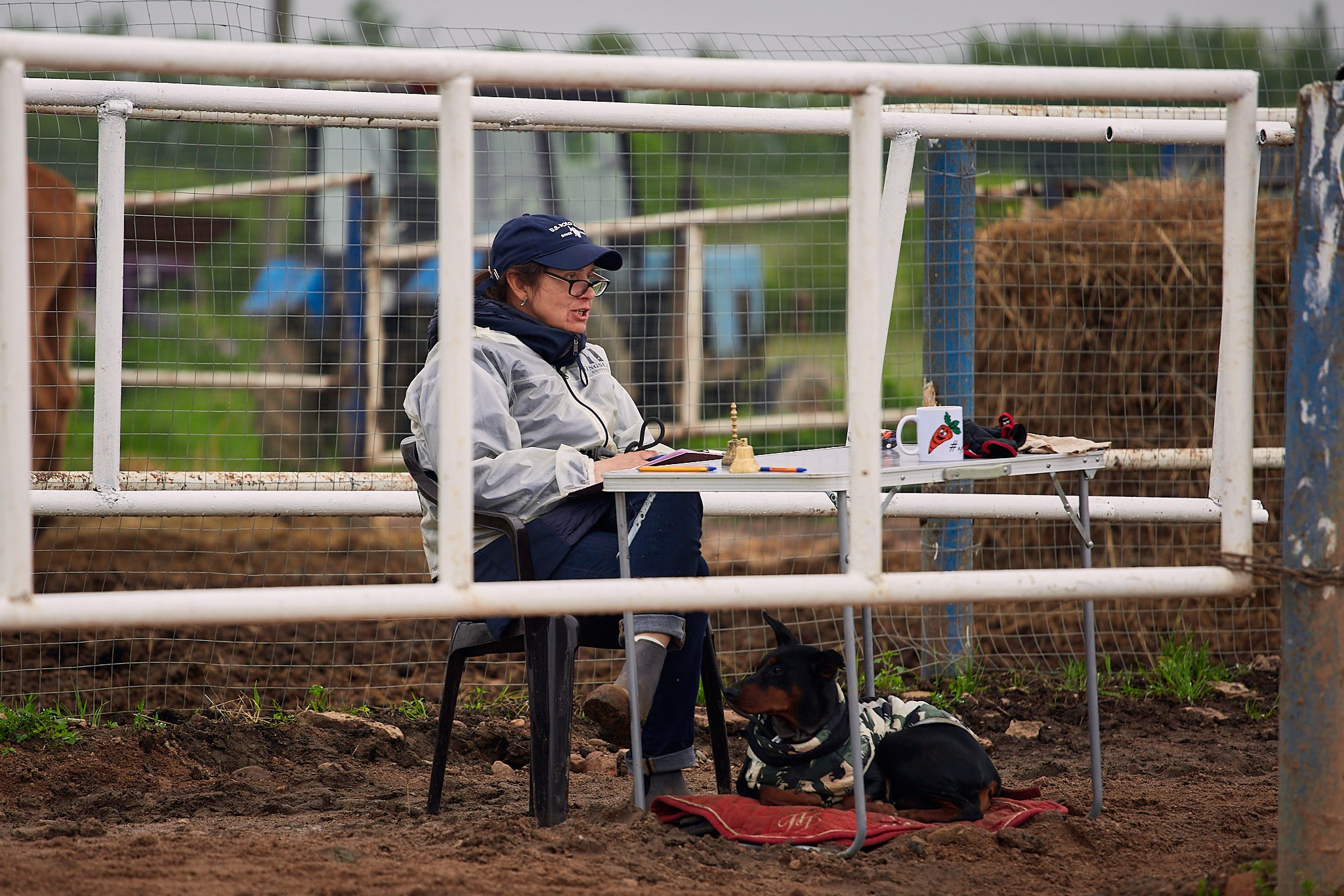 Выездка в КФК «Фарфор»