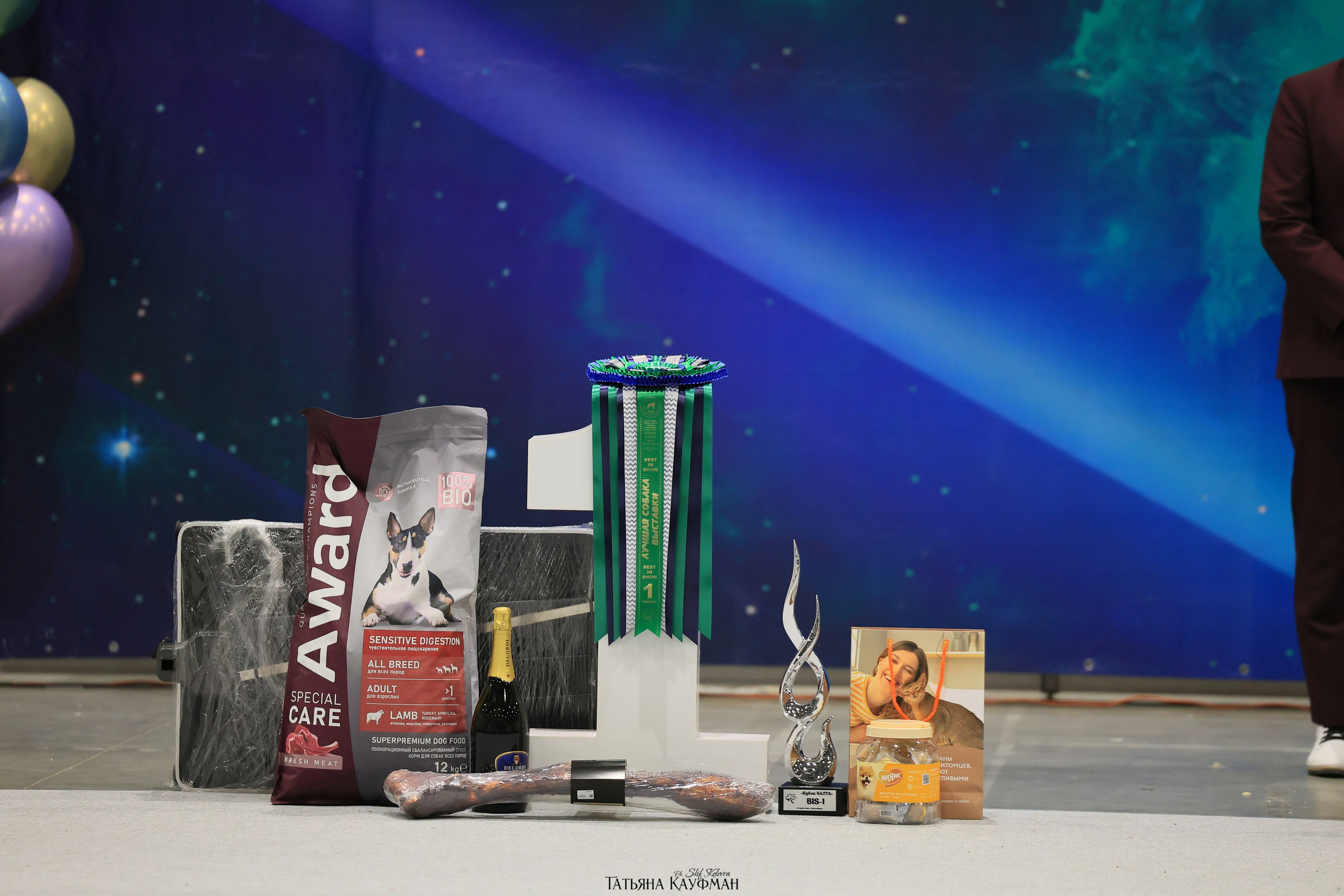 28.03.2026 Рейтинговая выставка в Новосибирске. Фотограф Анималист из Новосибирска Татьяна Кауфман