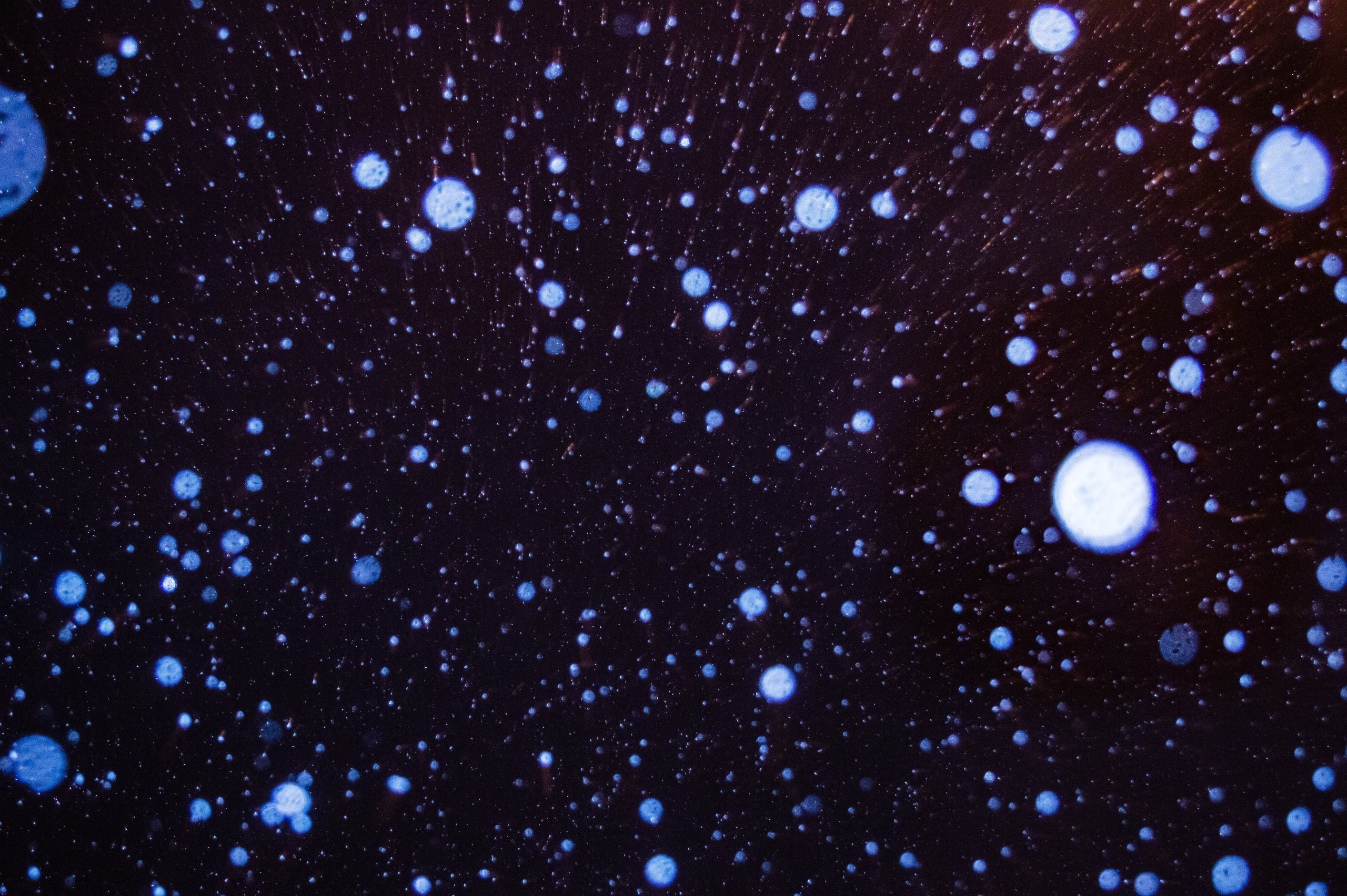 Атмосферная натурная фотография. Любовь Каширская — фотограф для малого бизнеса и специалистов