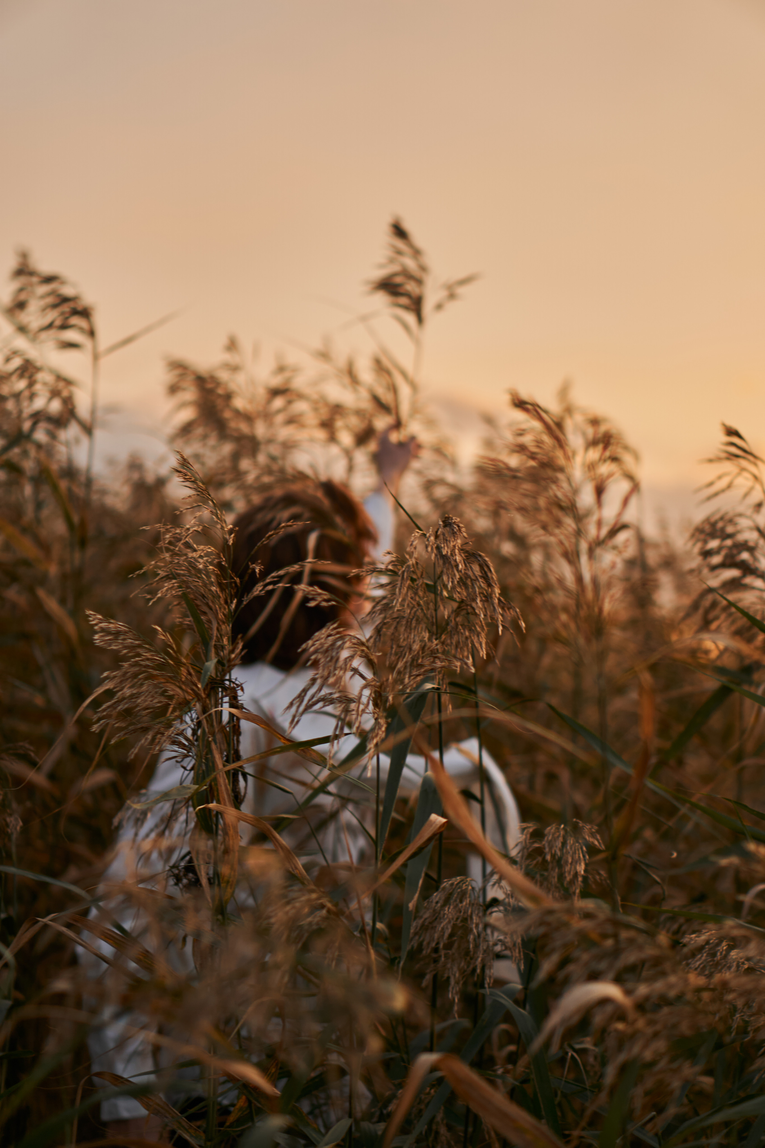 La Petit Prince Ivan. Фотограф в Санкт-Петербурге Виктория Черникова