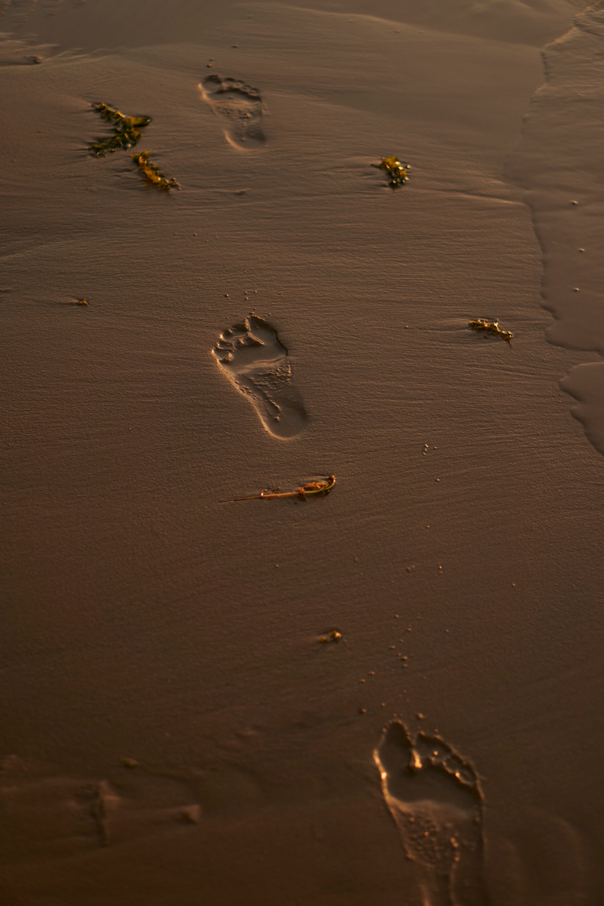 La Petit Prince Ivan. Фотограф в Санкт-Петербурге Виктория Черникова
