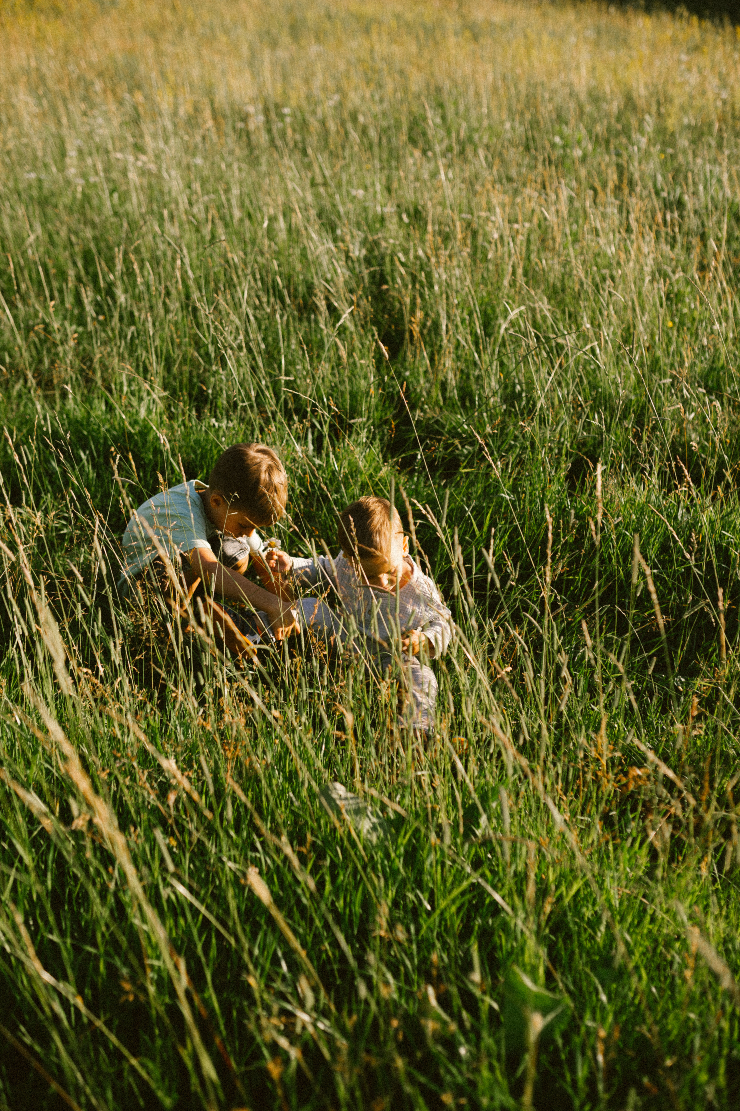 Семейный и детский фотограф в Рязани Екатерина Воронцова