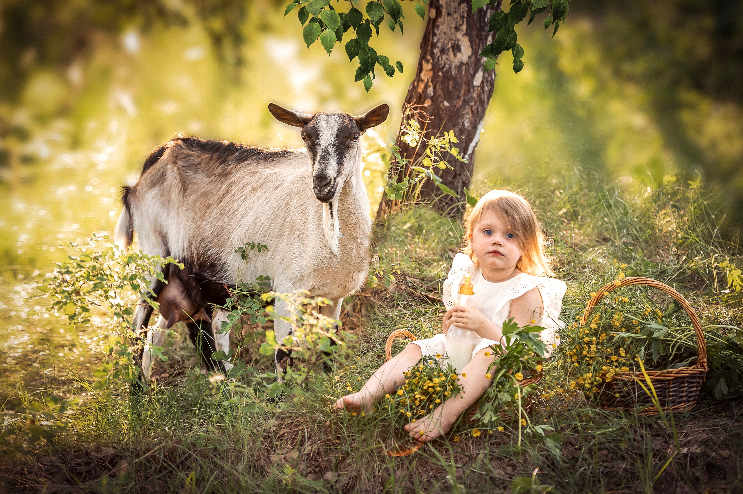 Фотосессия с козлятами. Семейный и детский фотограф в Канске и Канском р-не, Красноярск и