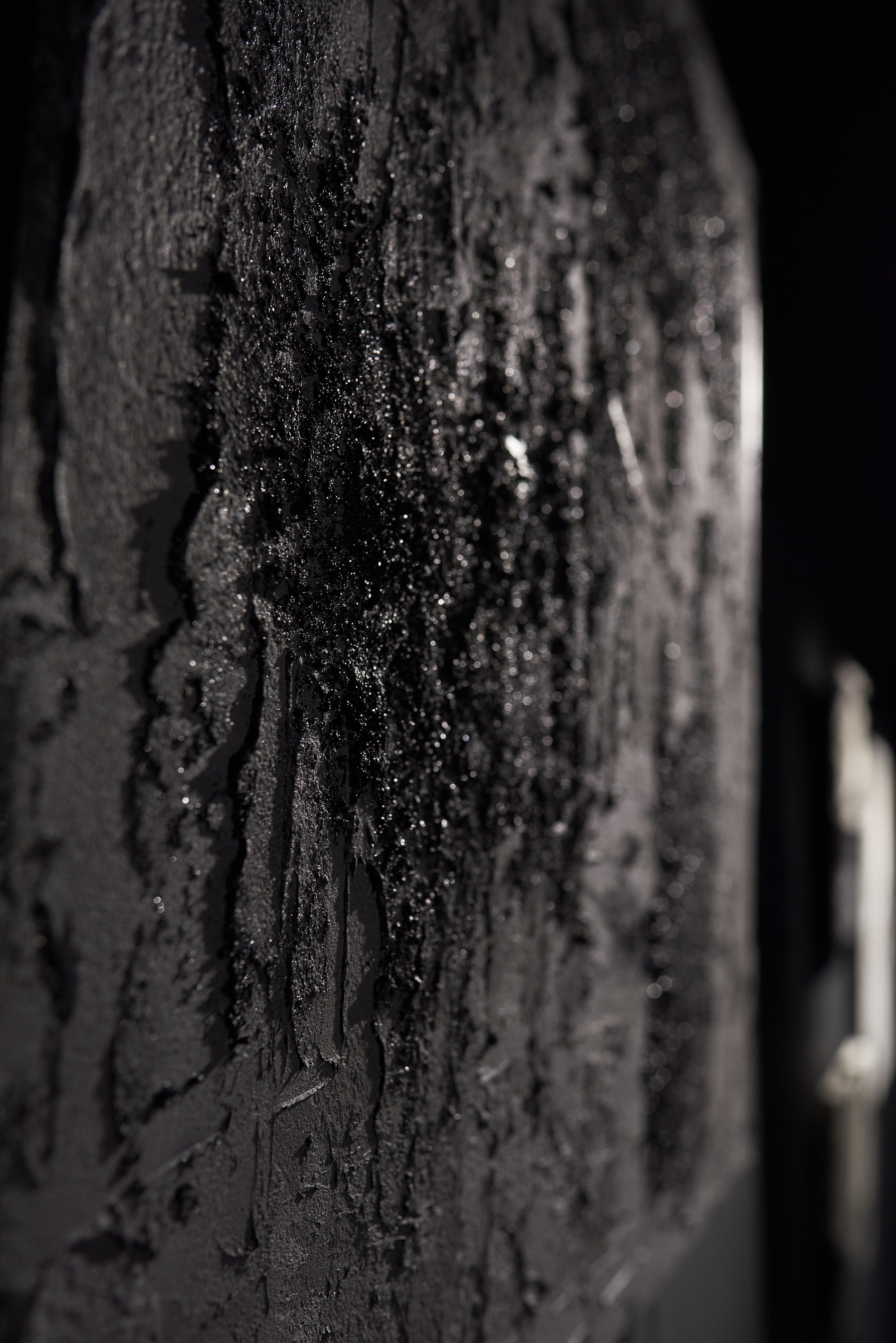 Выставка-перфоманс «Действие». Профессиональный фотограф (Краснодар) Роман Гончаров