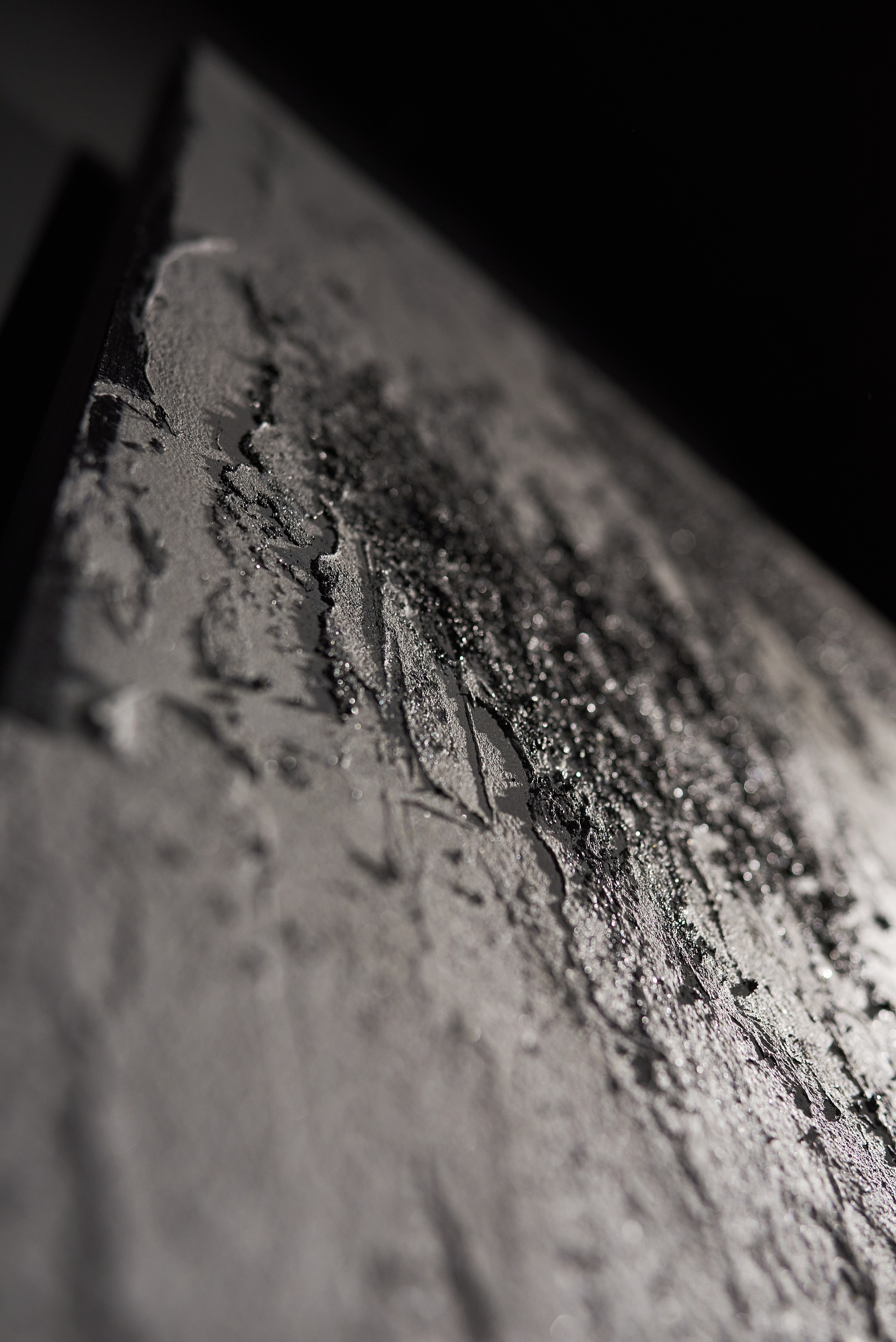 Выставка-перфоманс «Действие». Профессиональный фотограф (Краснодар) Роман Гончаров