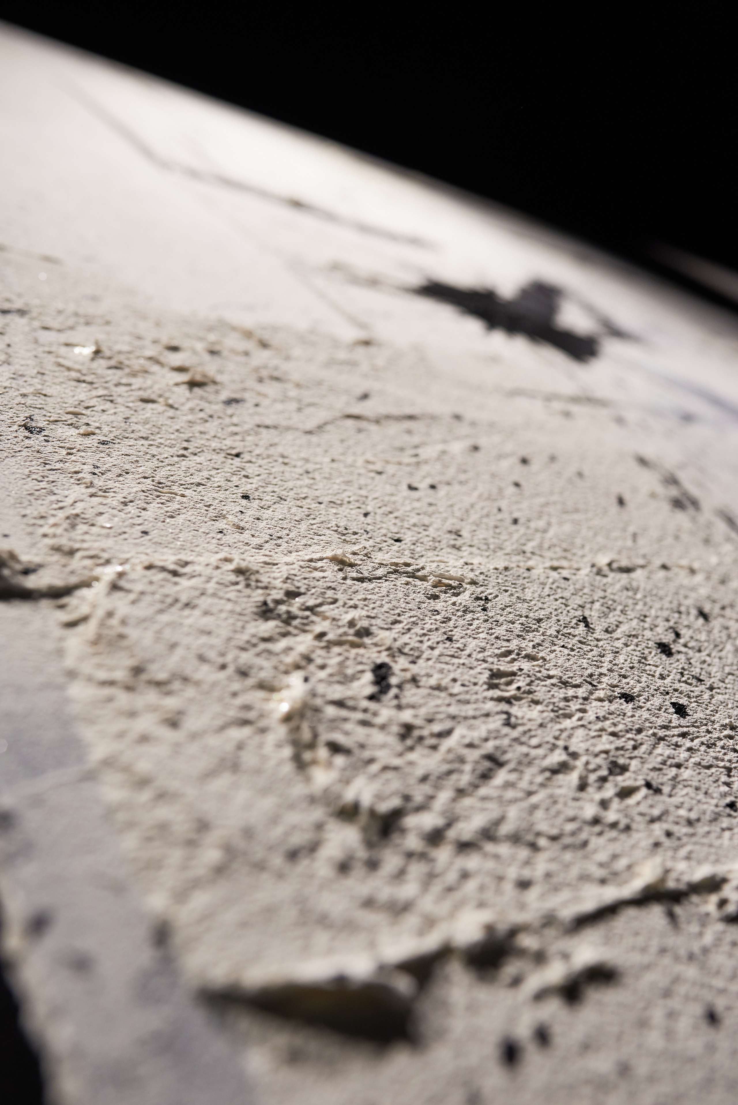 Выставка-перфоманс «Действие». Профессиональный фотограф (Краснодар) Роман Гончаров