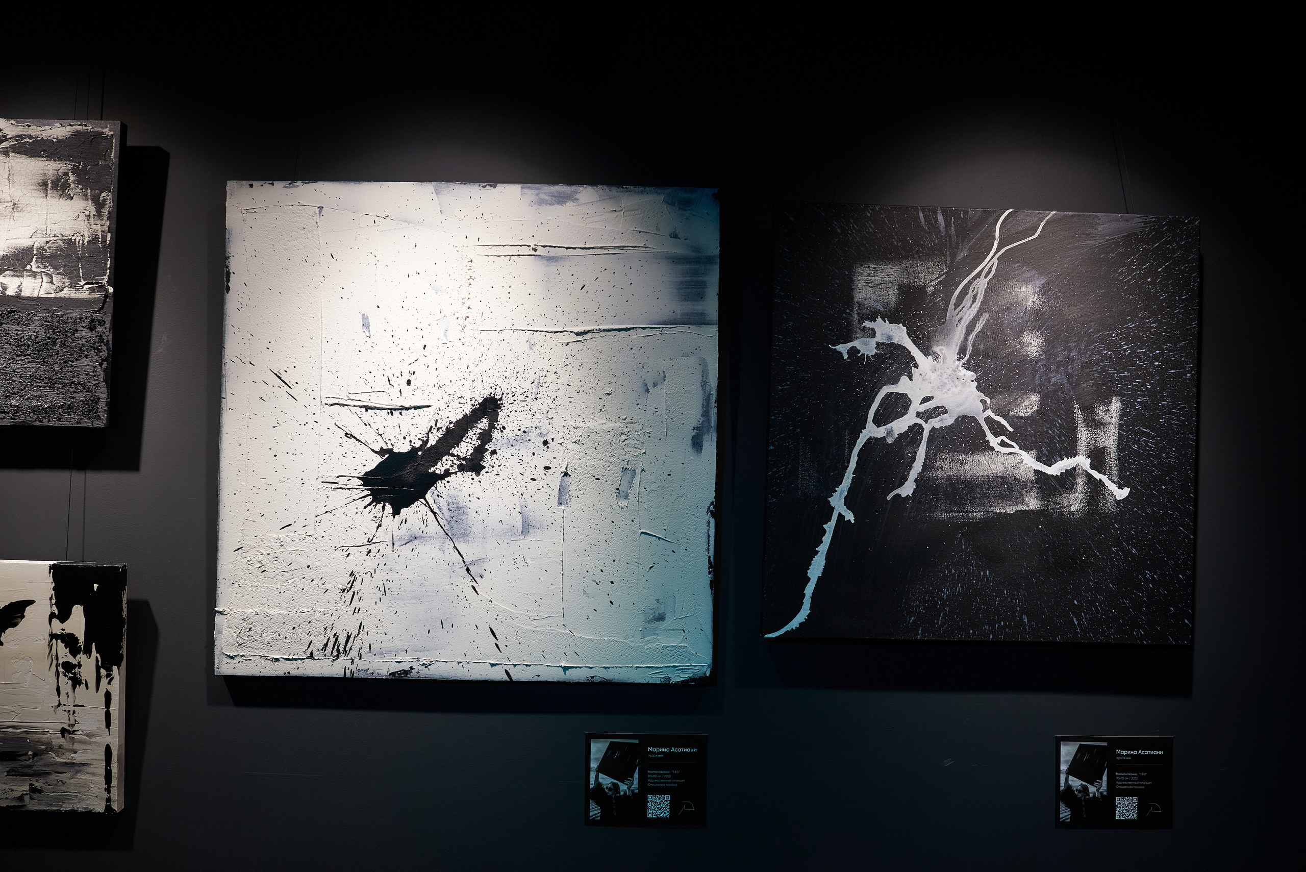 Выставка-перфоманс «Действие». Профессиональный фотограф (Краснодар) Роман Гончаров