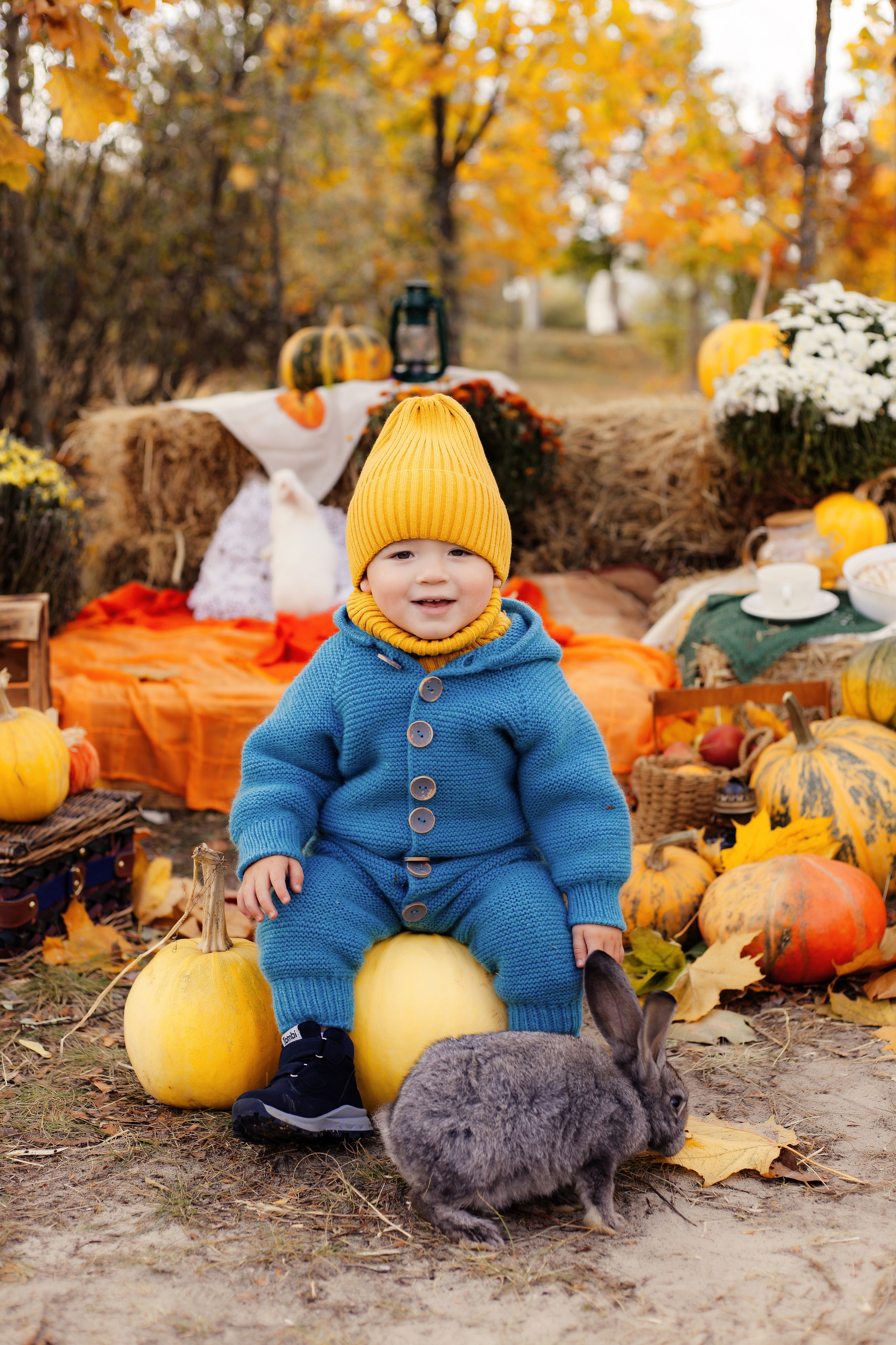 Детский и семейный фотограф Алёна Агеева