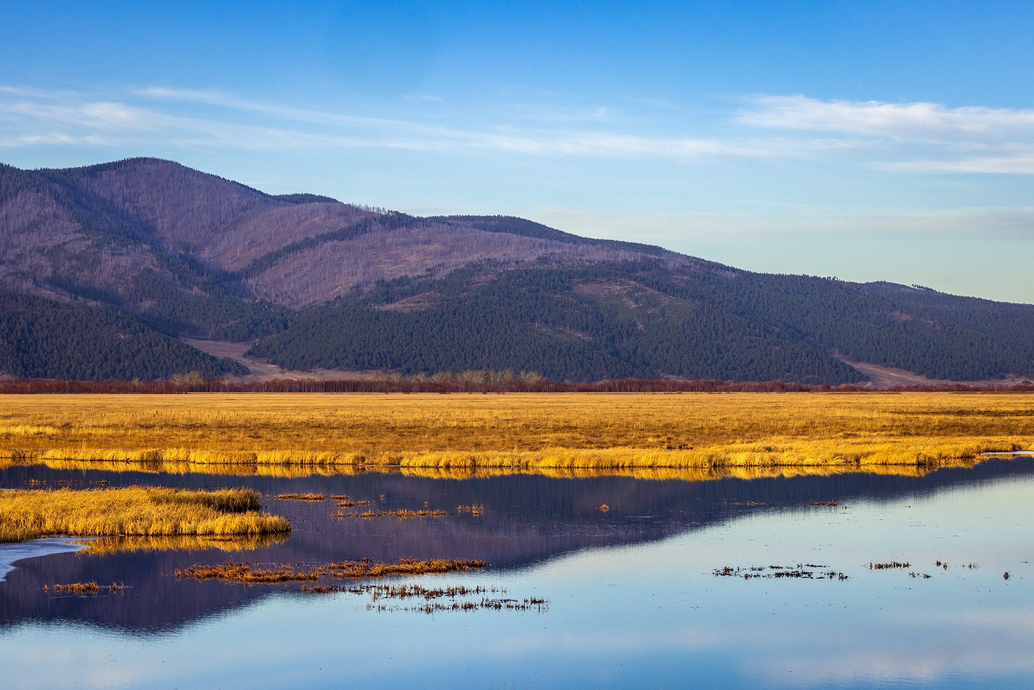 Байкал. High-quality interior photos for your home, office, hotel