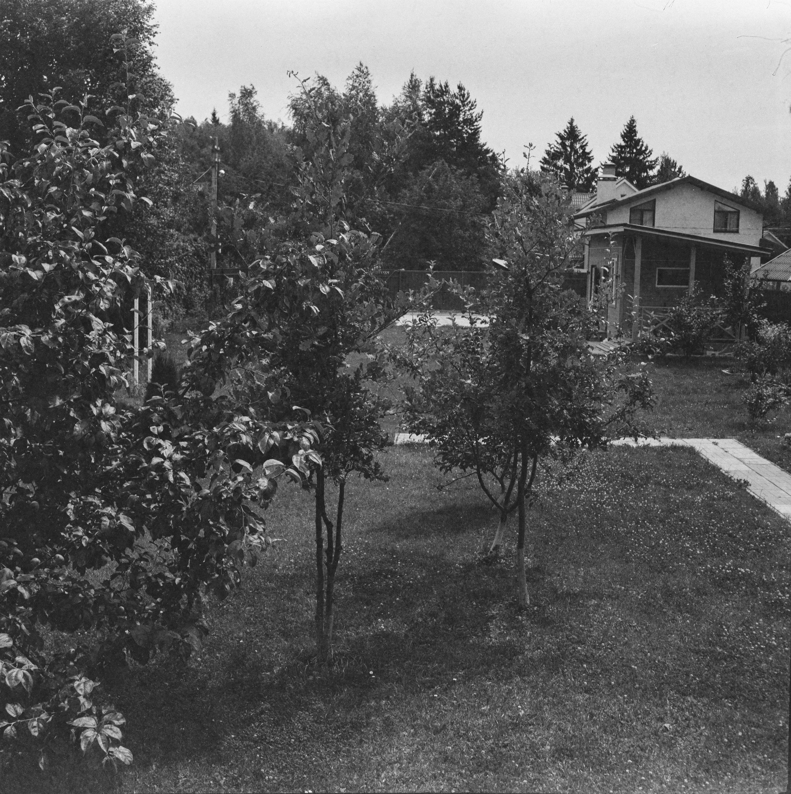 Welta Weltax — Carl Zeiss Jena Tessar T 75 mmf3.5