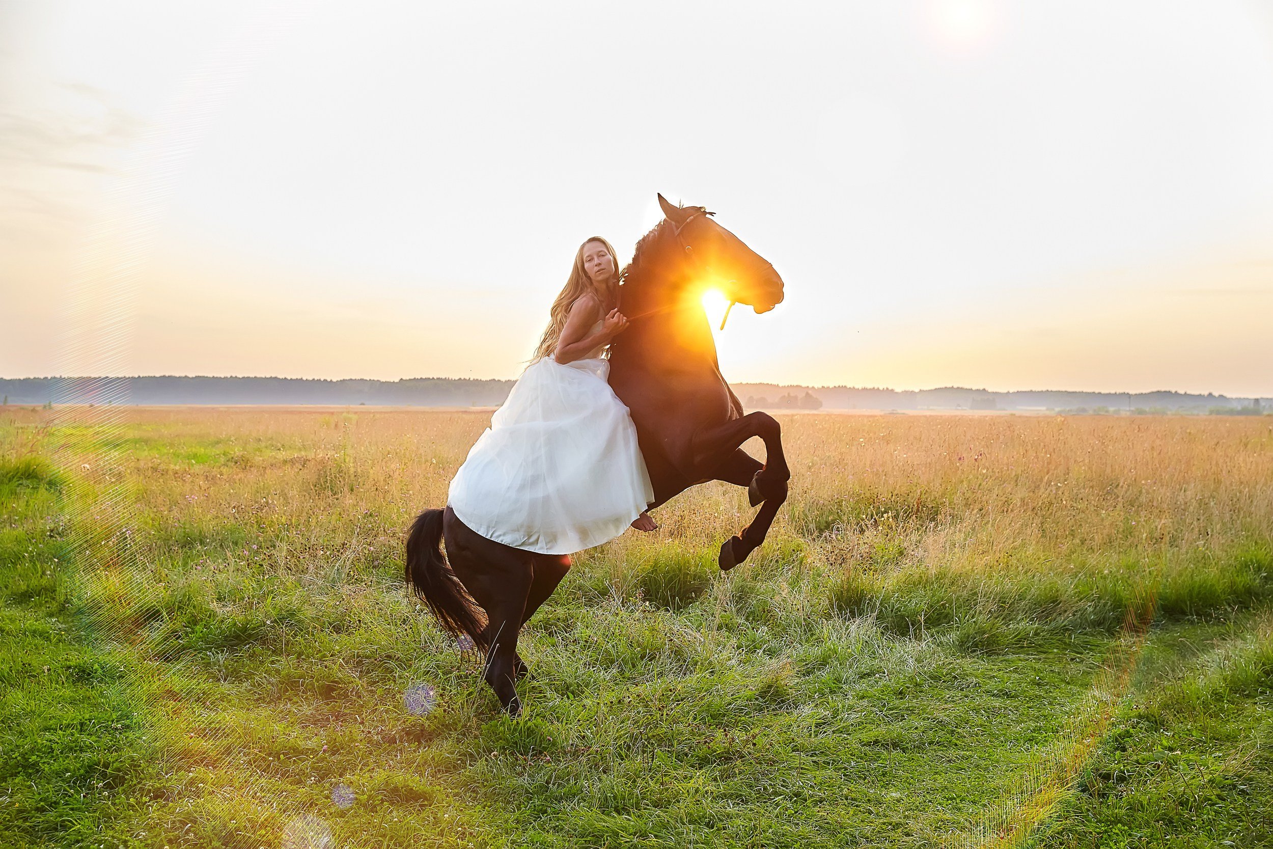 Фотосессия с лошадьми Фотограф Михаил Семенов, г. Ярославль